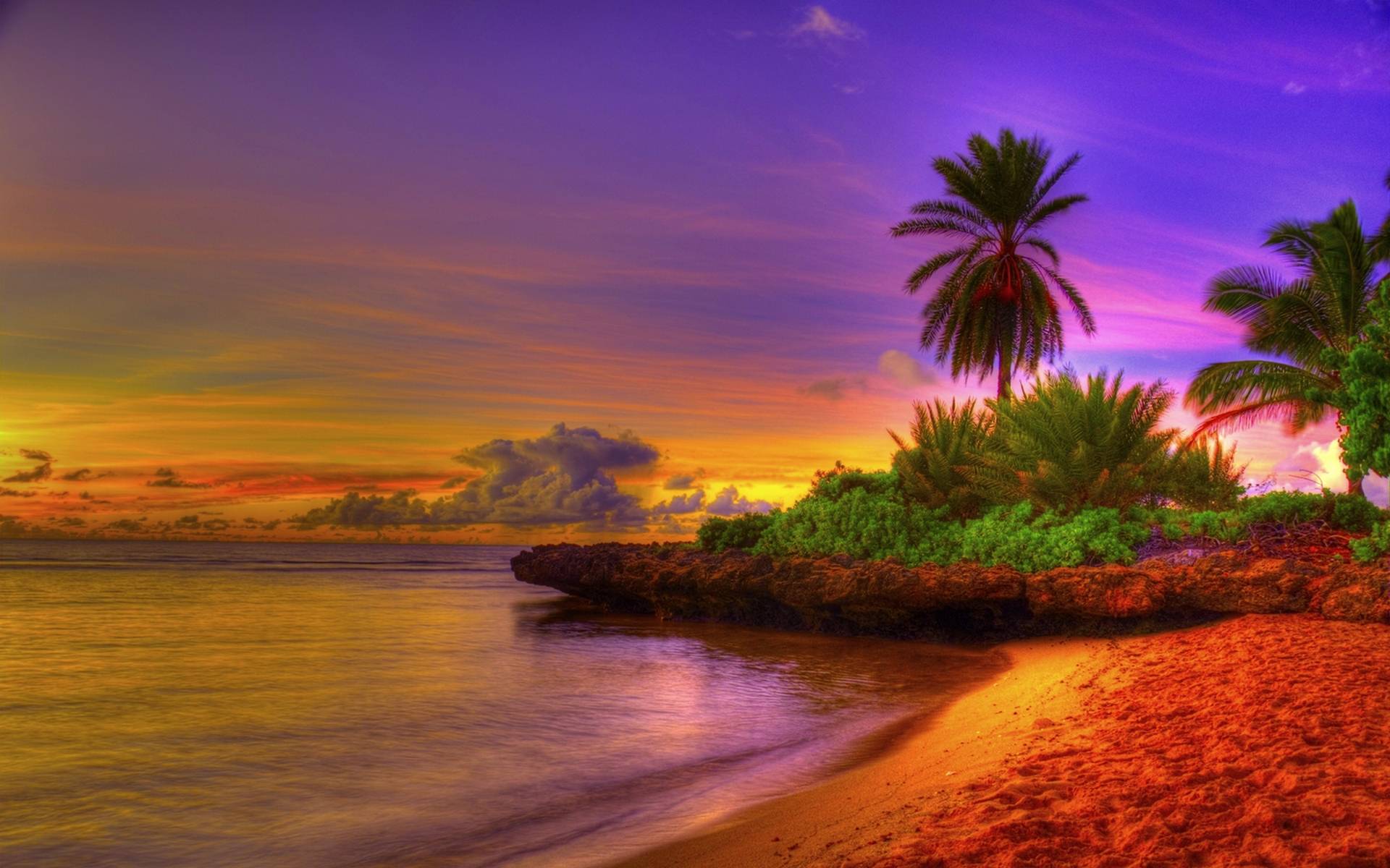Tropical Beach Sunrise Background 1 HD Wallpaper