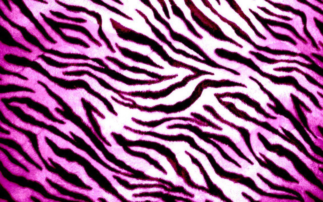 Wallpaper For > Colorful Zebra Background