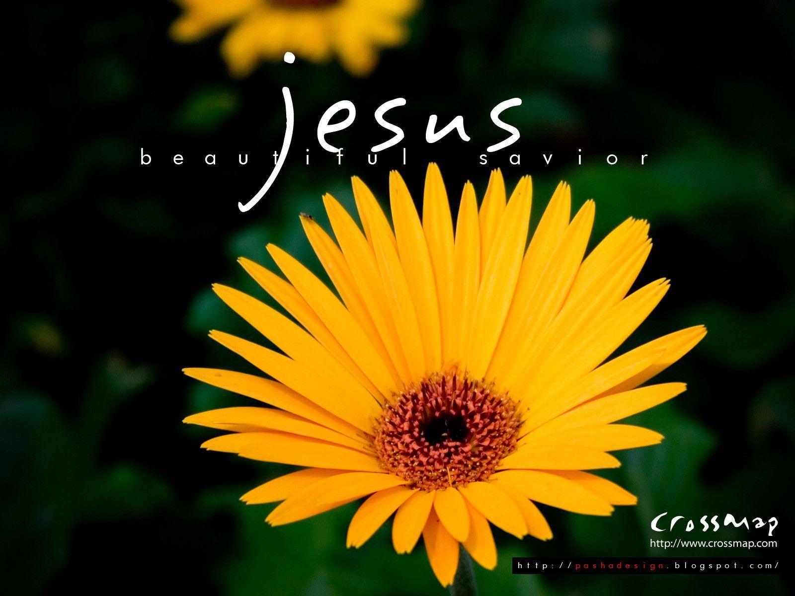 Jesus Name Beautiful Savior Flower HD Wallpaper