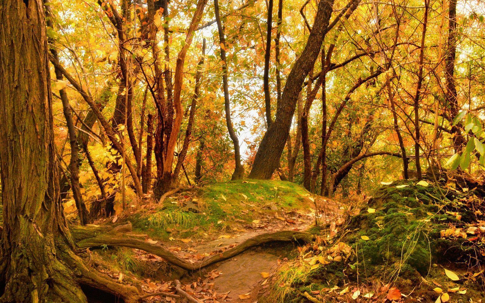 Autumn Scenery Wallpapers Wallpaper Cave