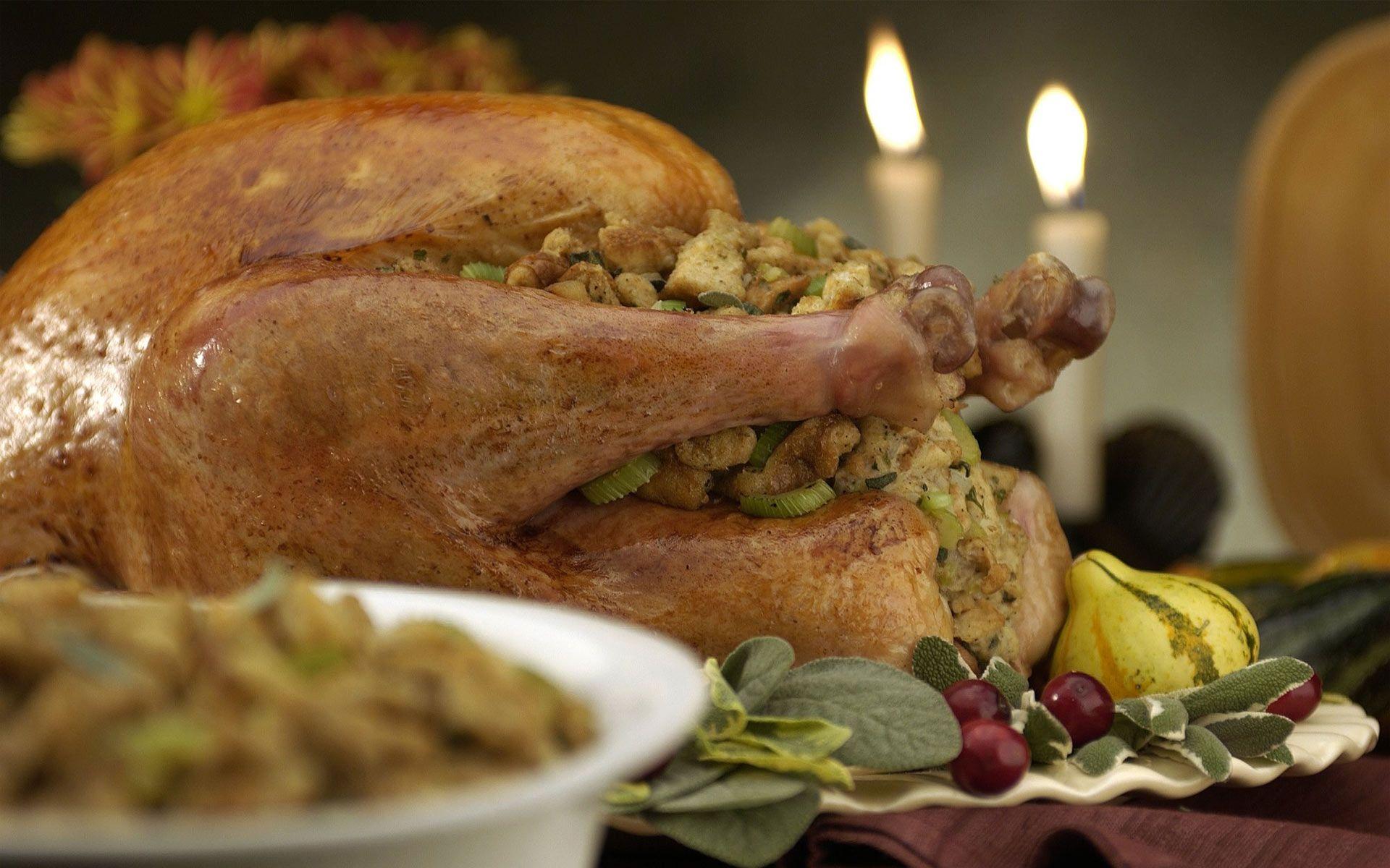 thanksgiving turkey HD wallpaper