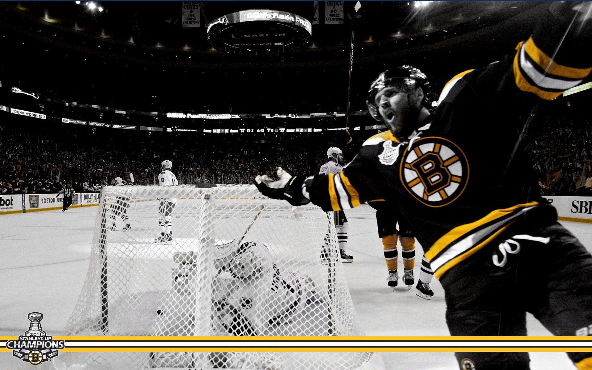Stanley Cup Champions: David Krejci Bruins Wallpaper