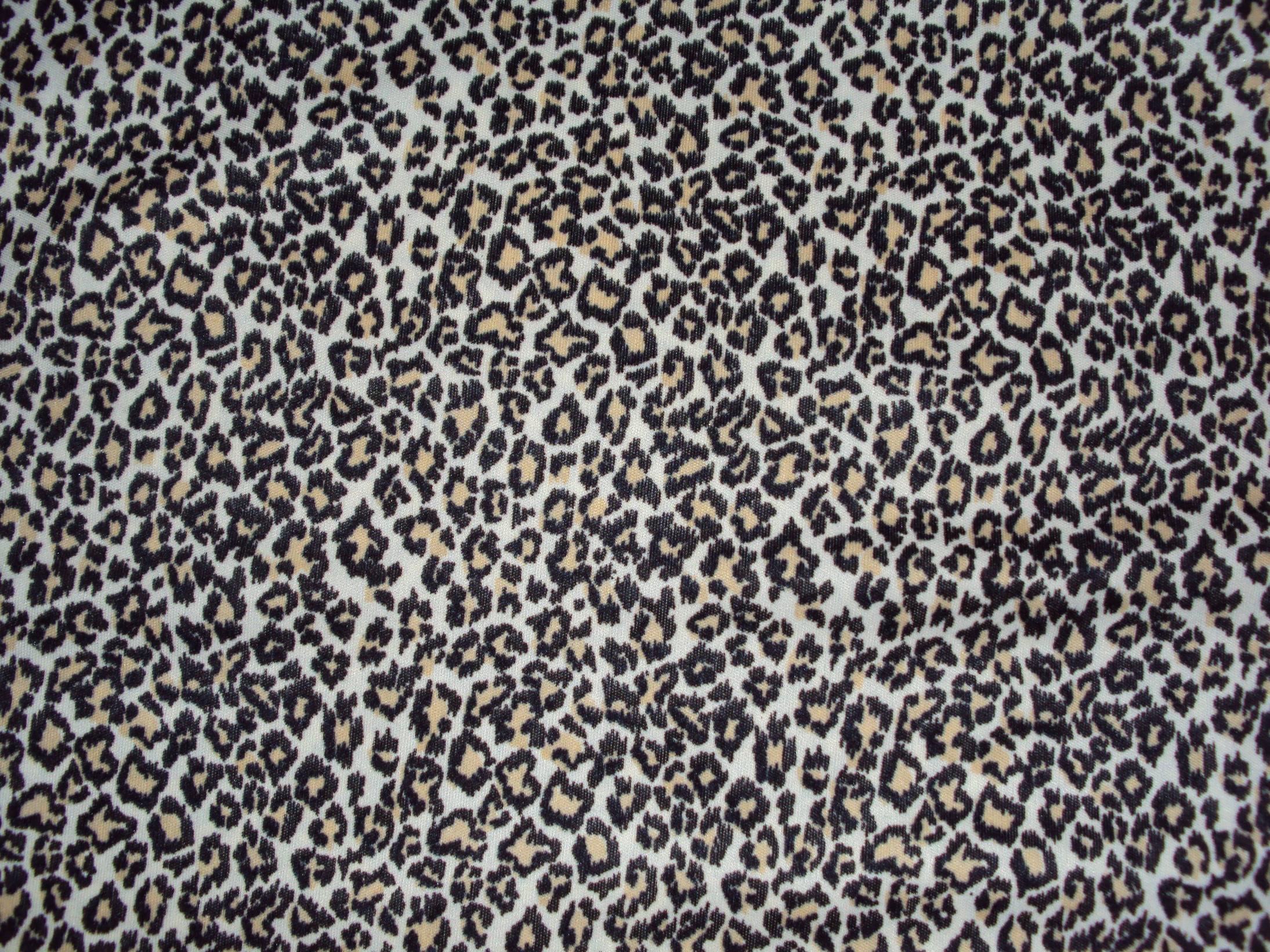 Download Another Leopard Texture Ghoulskout Wallpaper