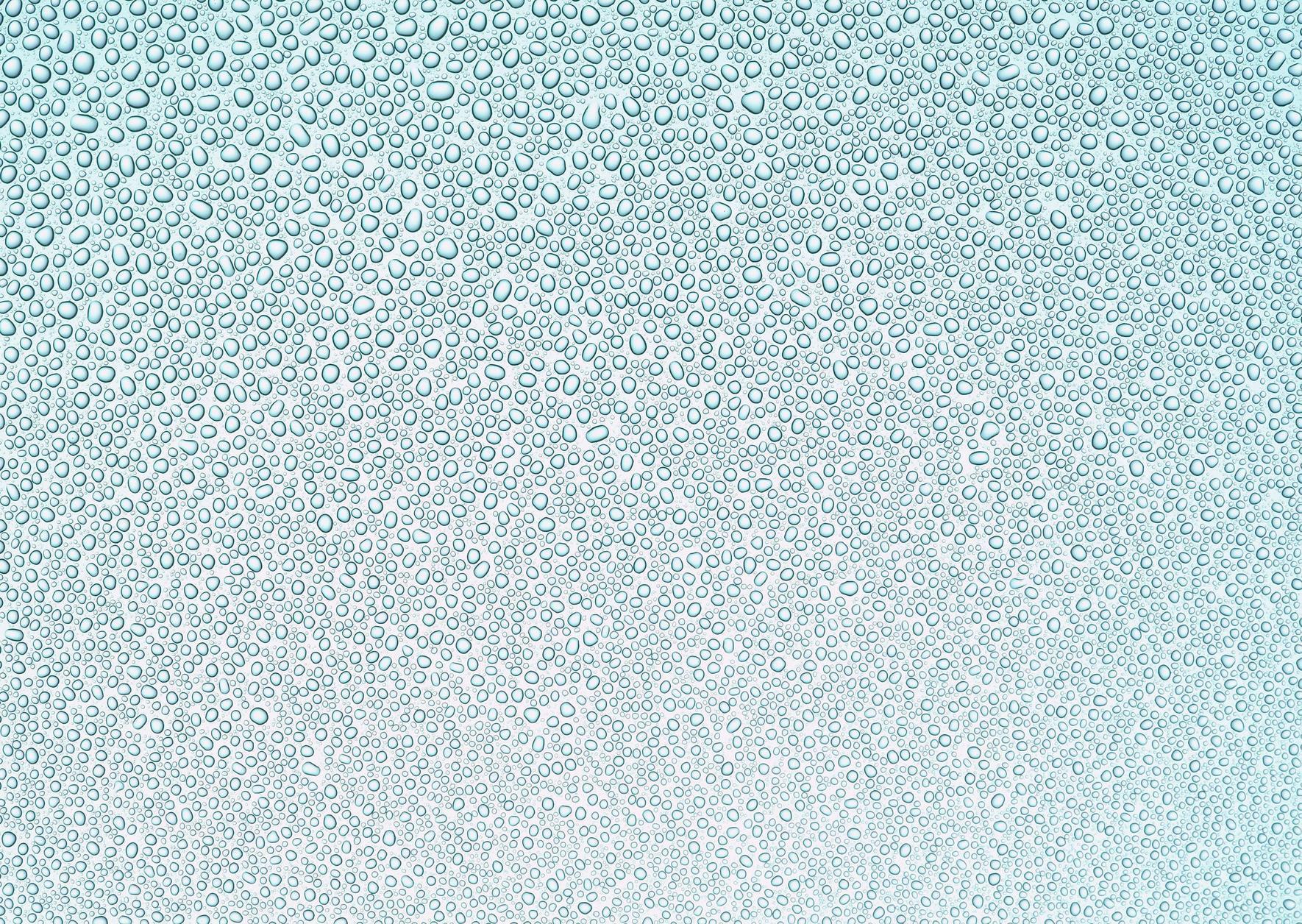 Fruits Water Droplets HD Wallpaper