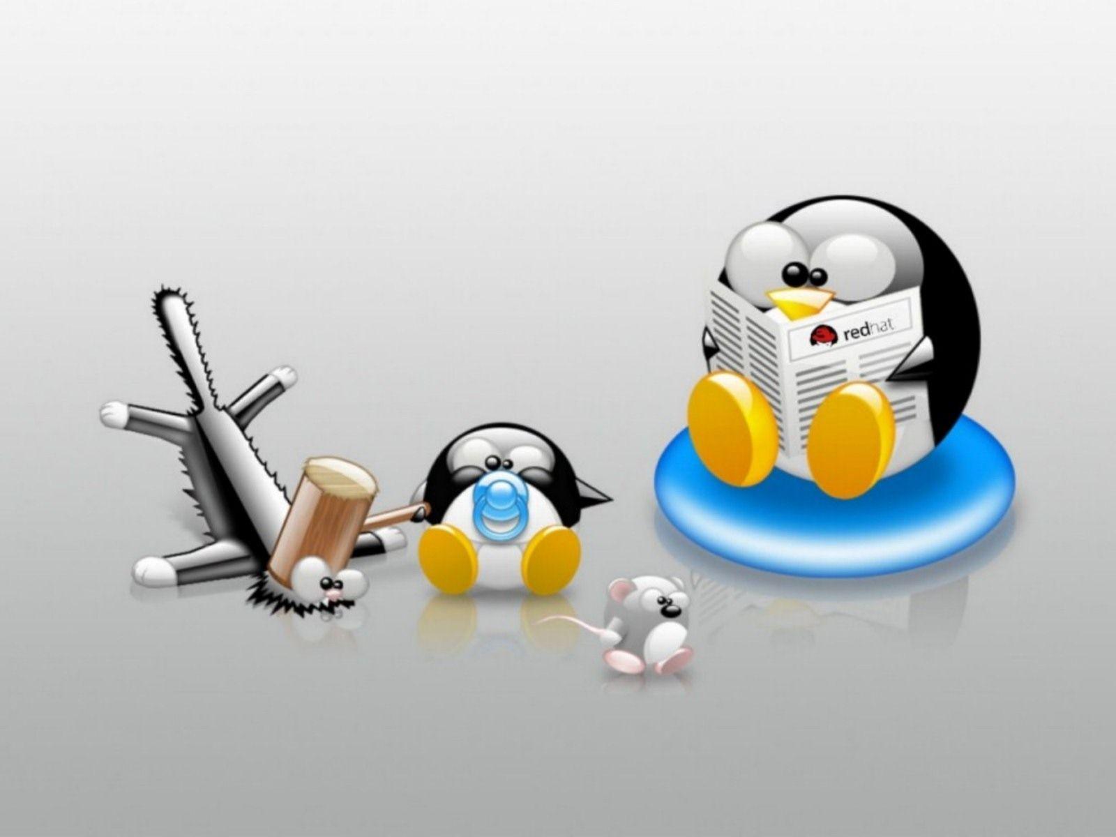 Wallpaper For > Linux Penguin Wallpaper