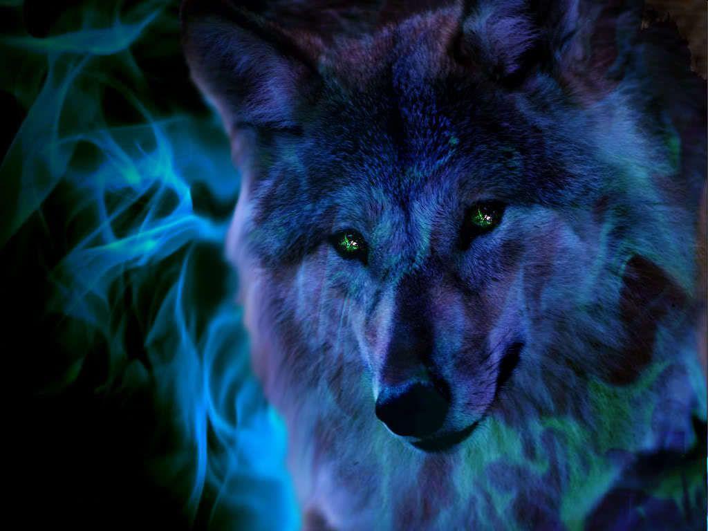 image For > Cool Wolf Wallpaper
