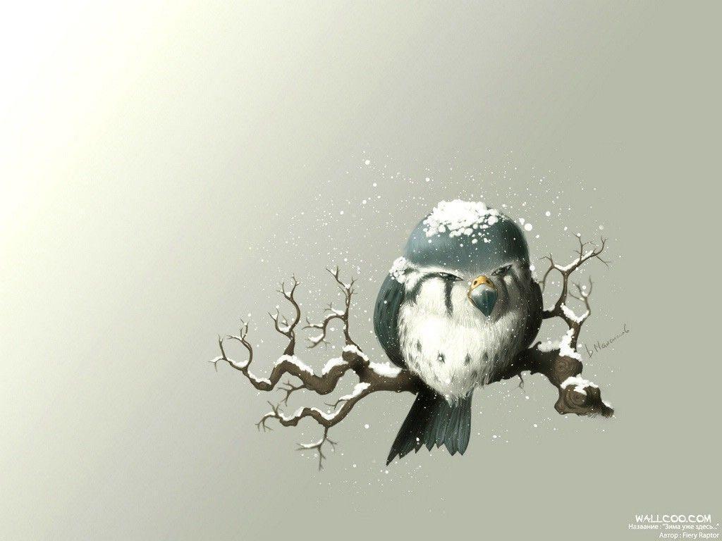 Wallpaper For > Cute Owl Computer Background