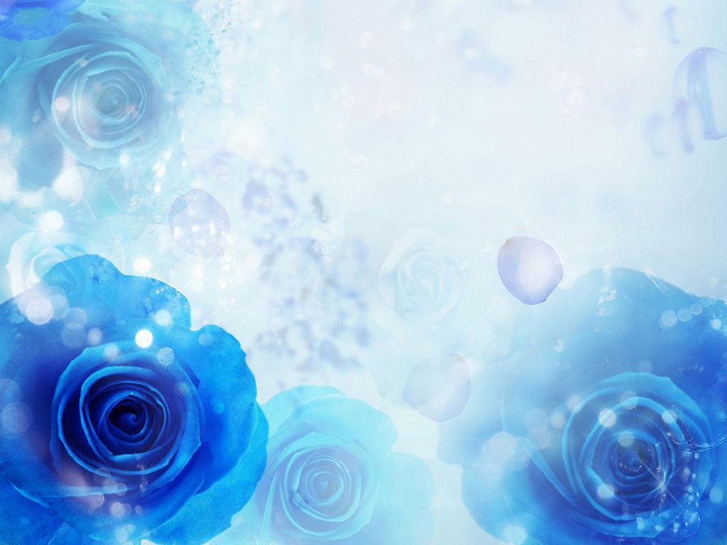 Blue Roses Wallpaper Selahblue (cynti19) Wallpaper