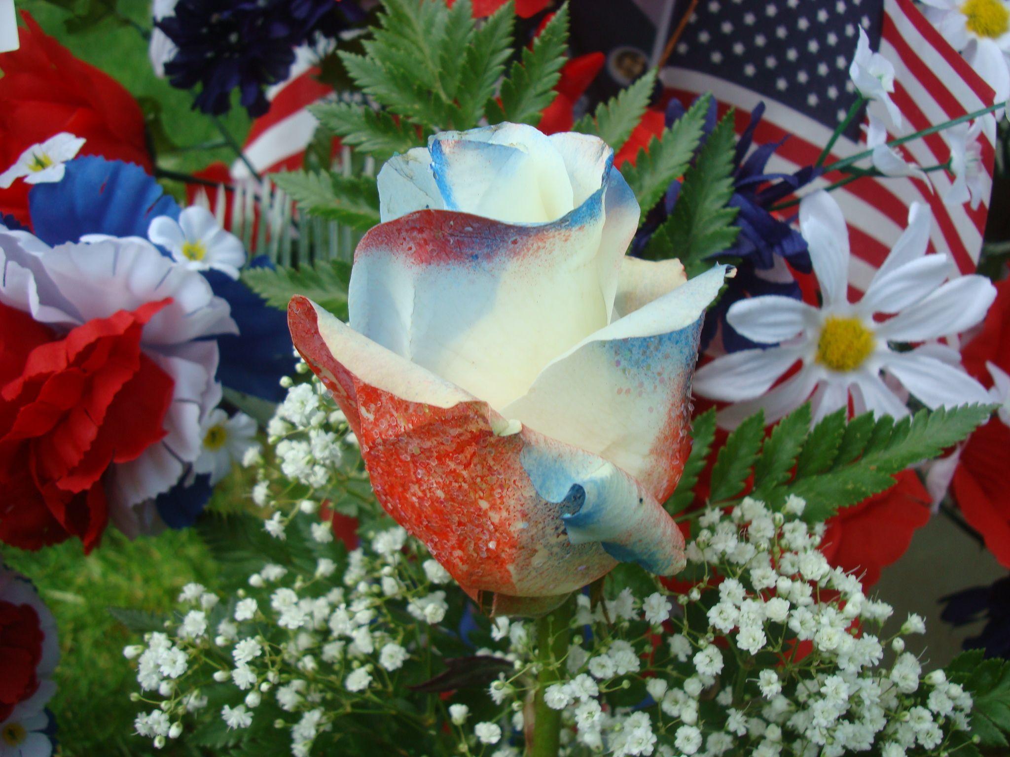 image For > Happy Memorial Day Picture