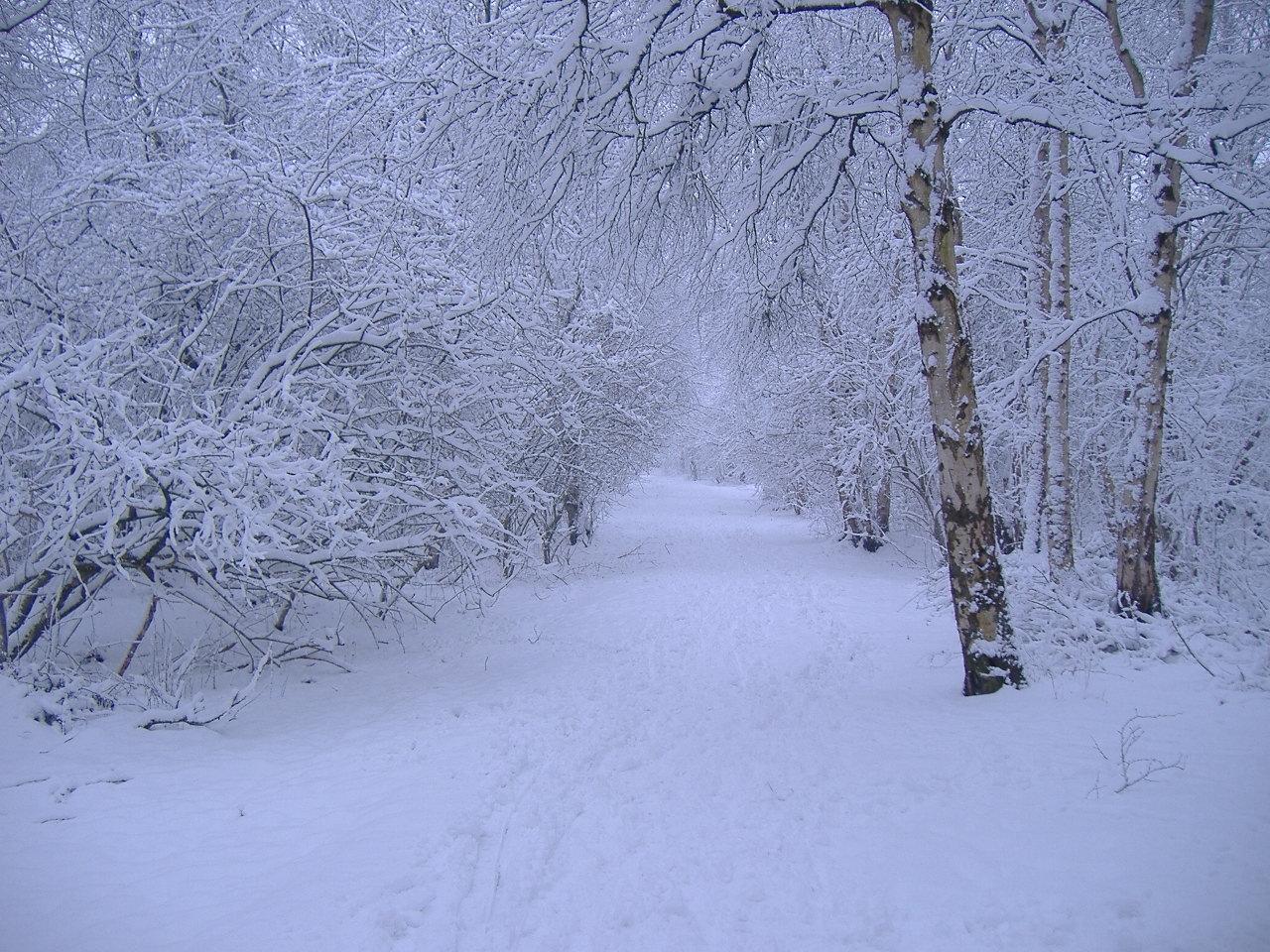 Winter scene Wallpaper. Image and nature wallpaper Winter scene