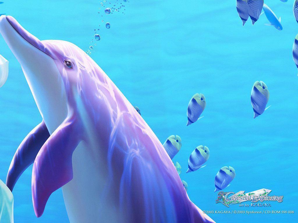 Wallpaper For > Cute Dolphin Wallpaper