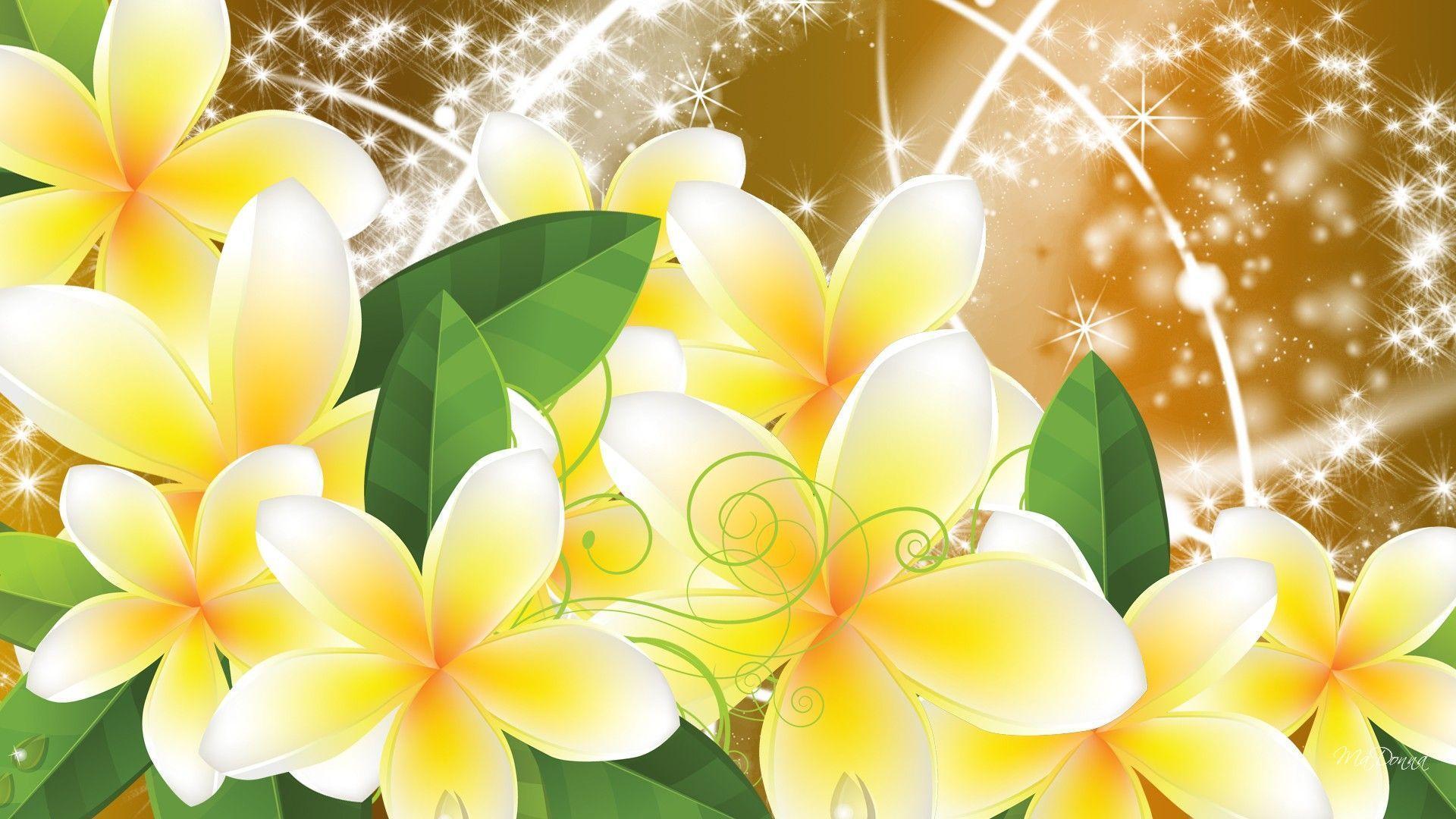 Pin Frangipani Flower Wallpaper