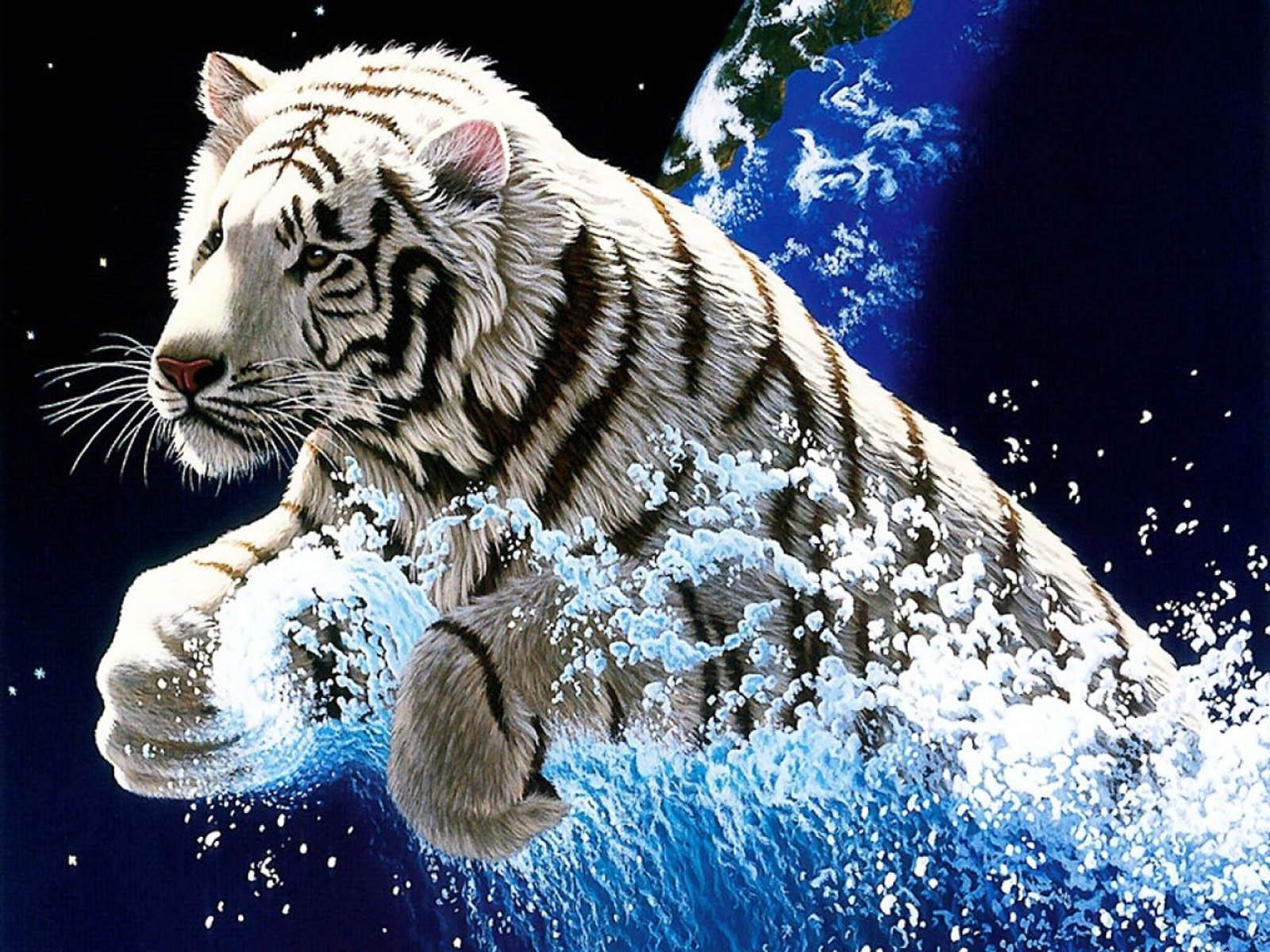 AmazingPict.comD White Tiger HD Wallpaper