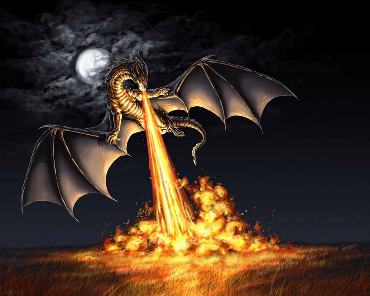 Fire Dragon Wallpapers - Wallpaper Cave