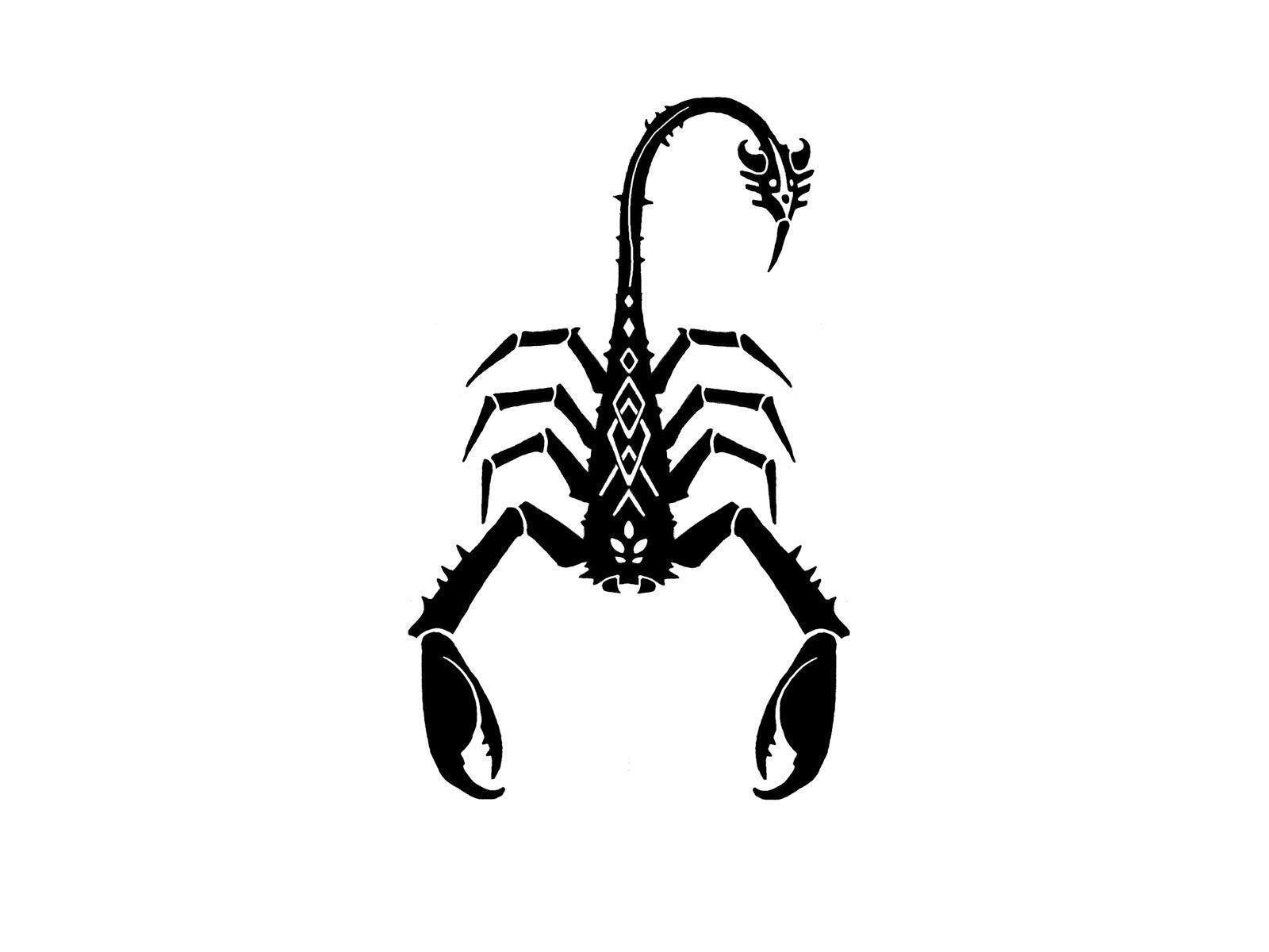 Free Download Scorpion Wallpaper