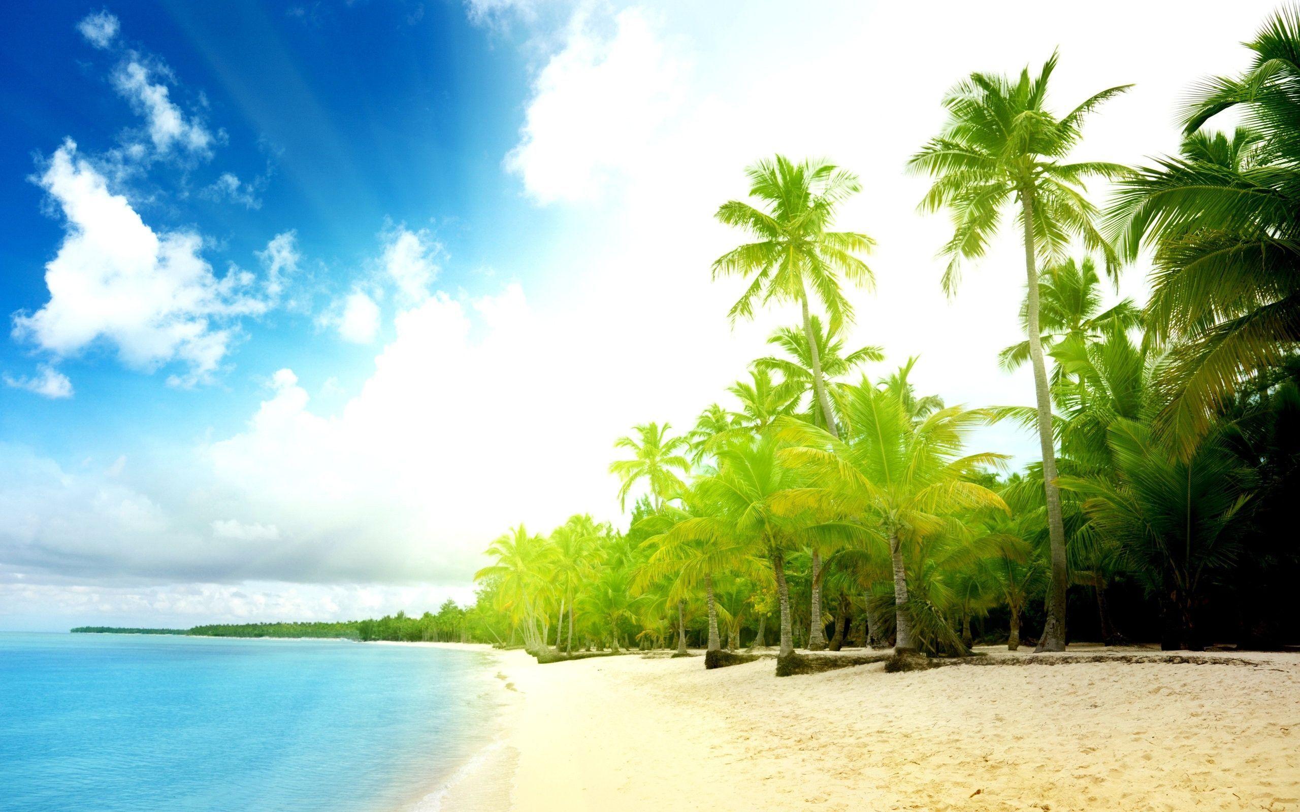 Free Download Exotic Beach View Top Wallpaper