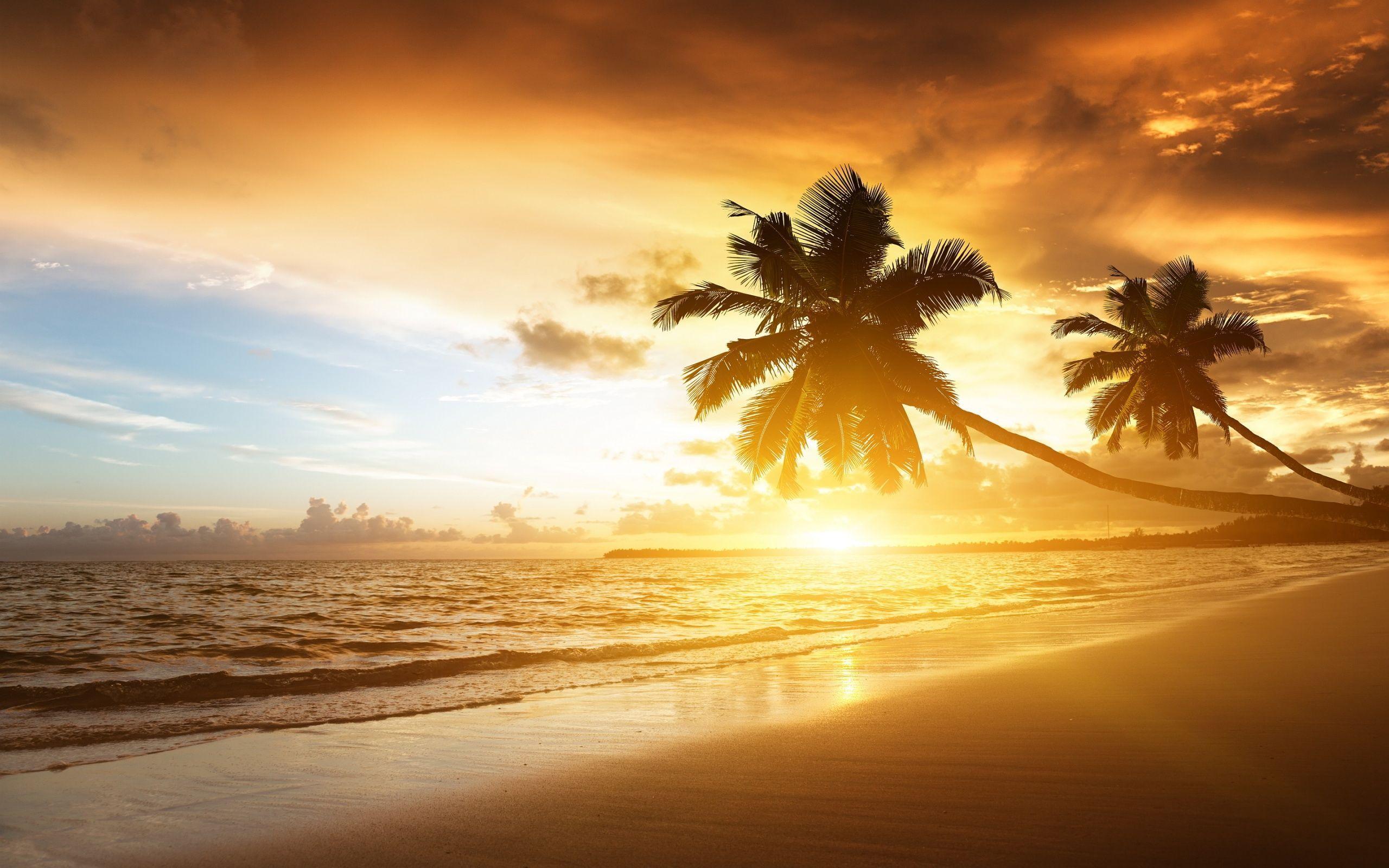 Download Beautiful Beach Sunset Wallpaper HD Image 3 HD