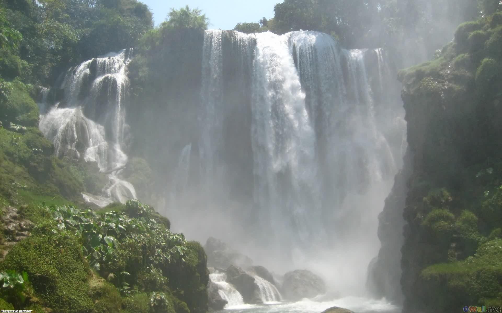 Tropical Rainforest Waterfalls High Definition HD Wallpaper