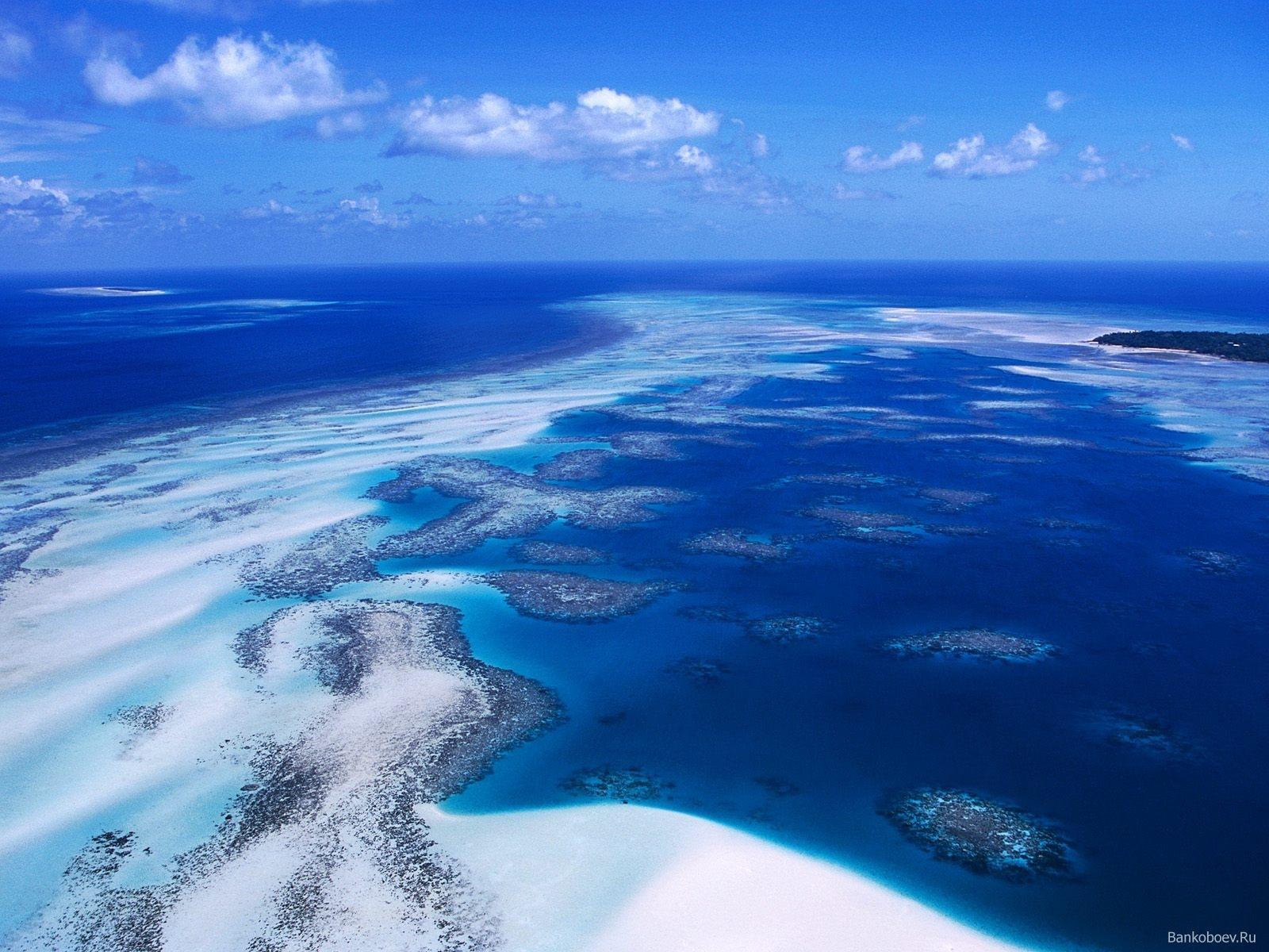 Coral reef free desktop background wallpaper image