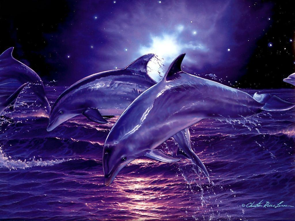 3D Digital Dolphins HD Wallpaper. High Quality Wallpaper