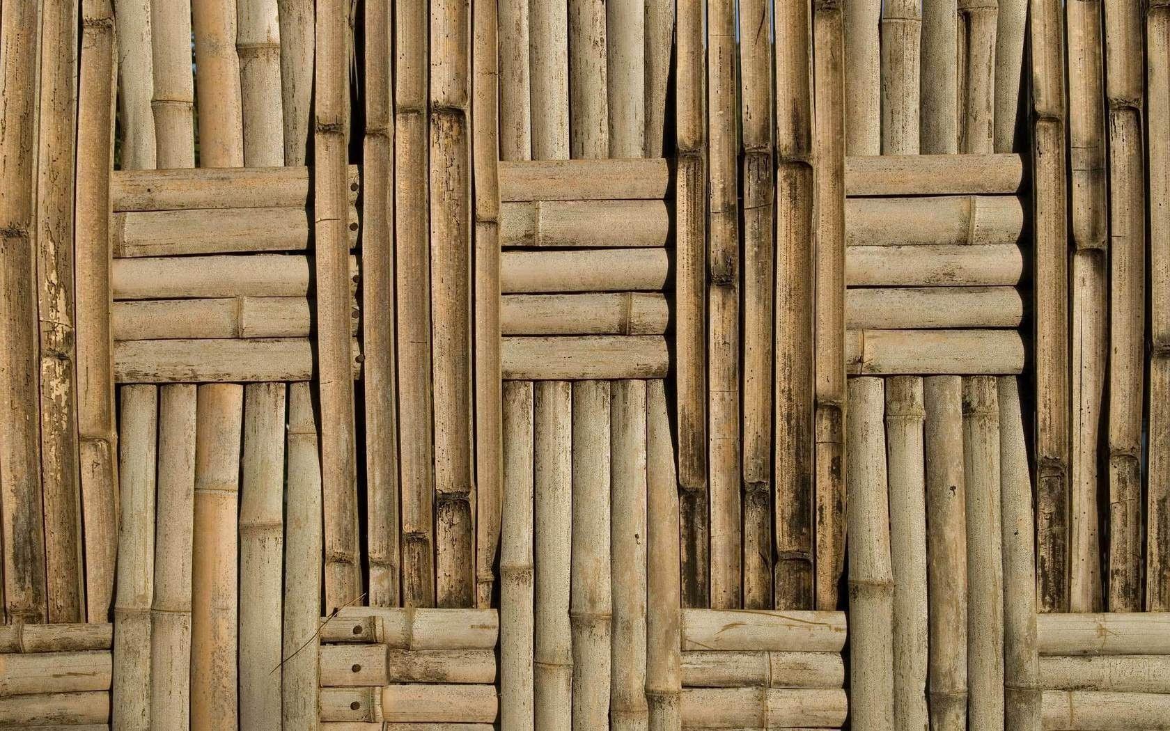 Bamboo Background Surface Wallpaper 1680x1050 px Free Download