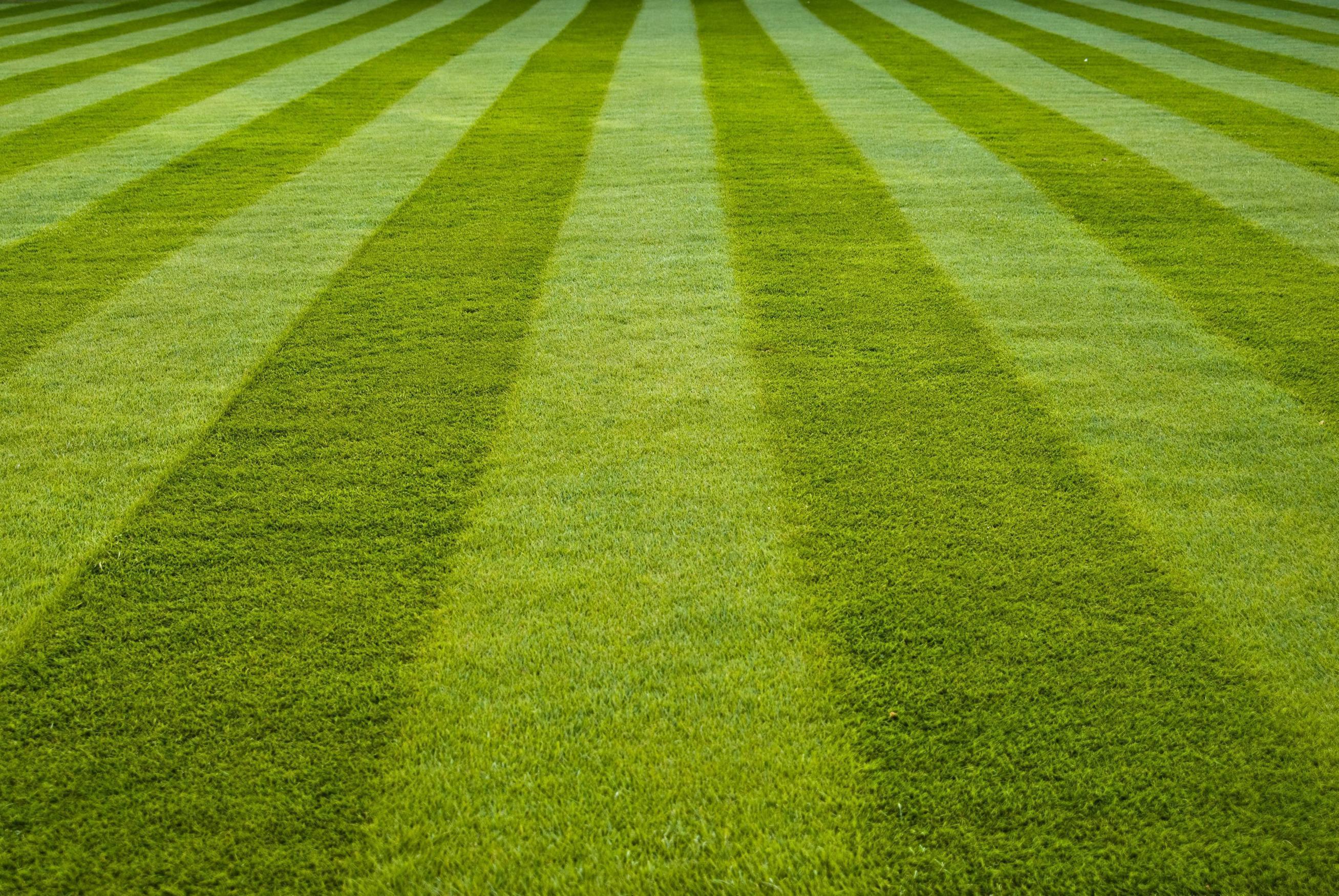 Baseball Field Grass Wallpaper