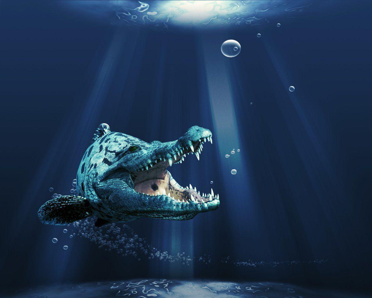 Crocodile Fish desktop wallpaper