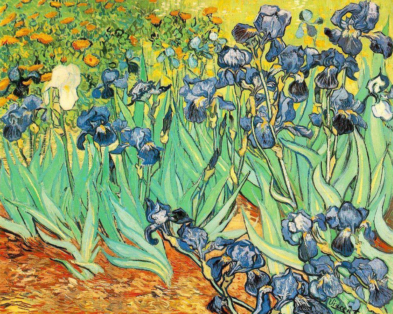 Irises Vincent Van Gogh. Photo and Desktop Wallpaper