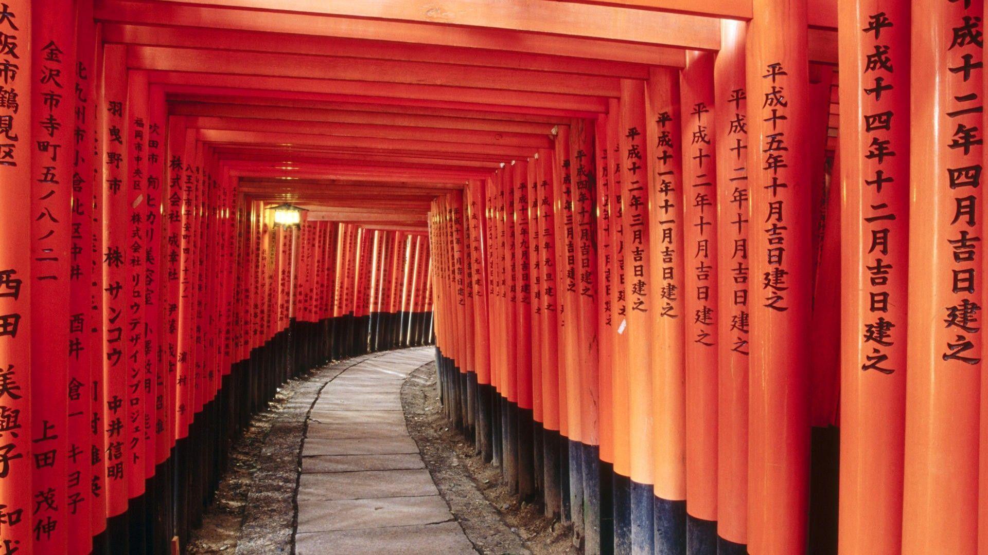 japanese shrine gate forest