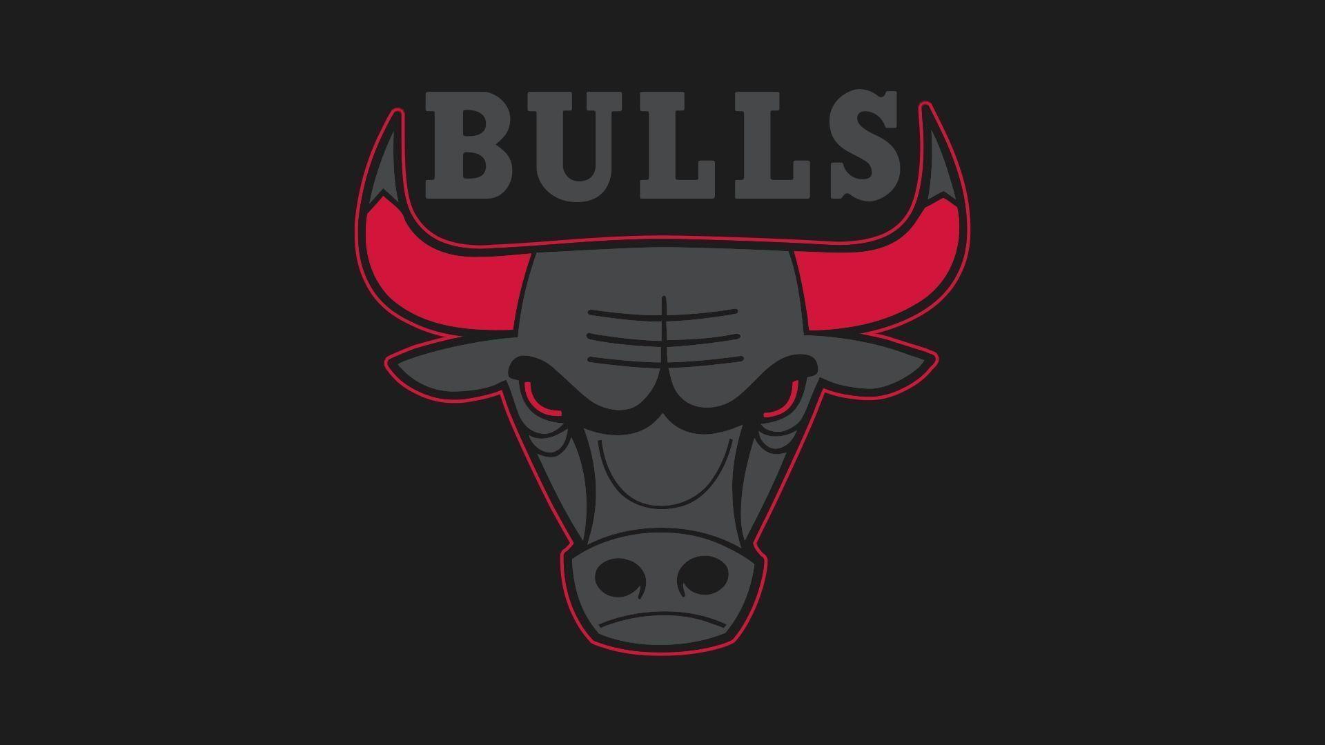 Chicago Bulls Logo Black