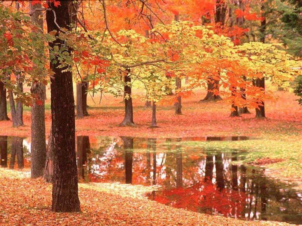 fall autumn wallpaper free Search Engine
