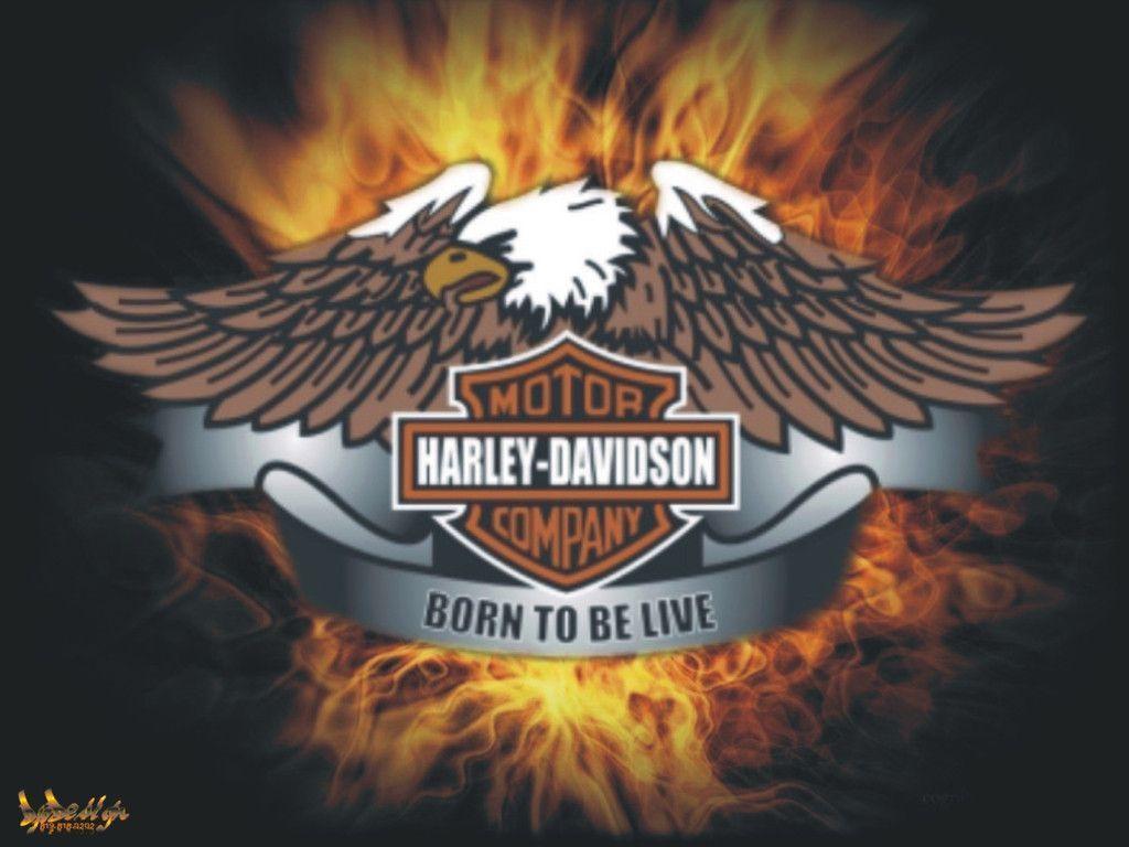 Download Live The Free Harley Davidson Born Wallpaper 1024x768
