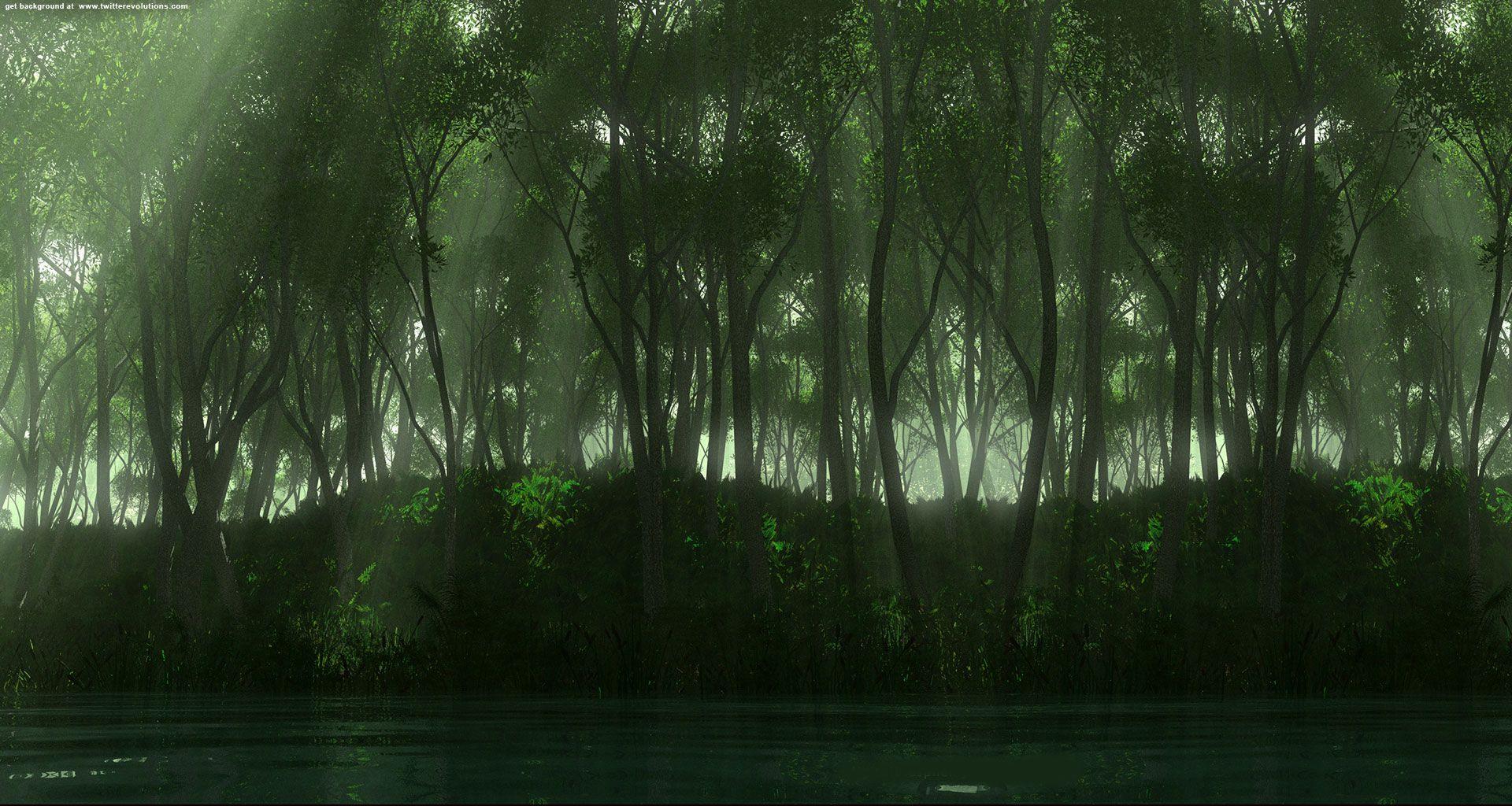 Dark green forest Twitter background. Twitter background
