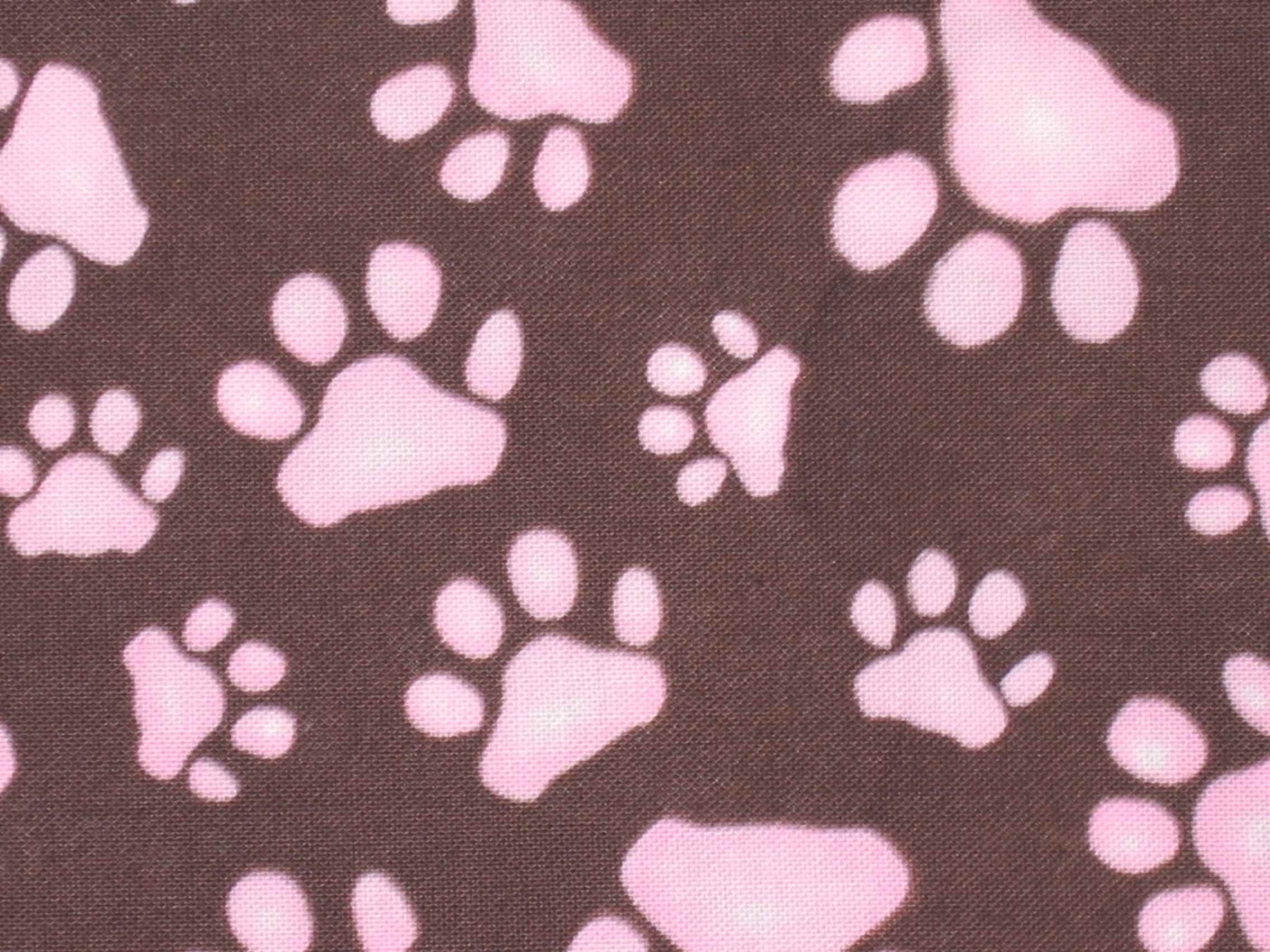 Paw Print Wallpapers - Wallpaper Cave