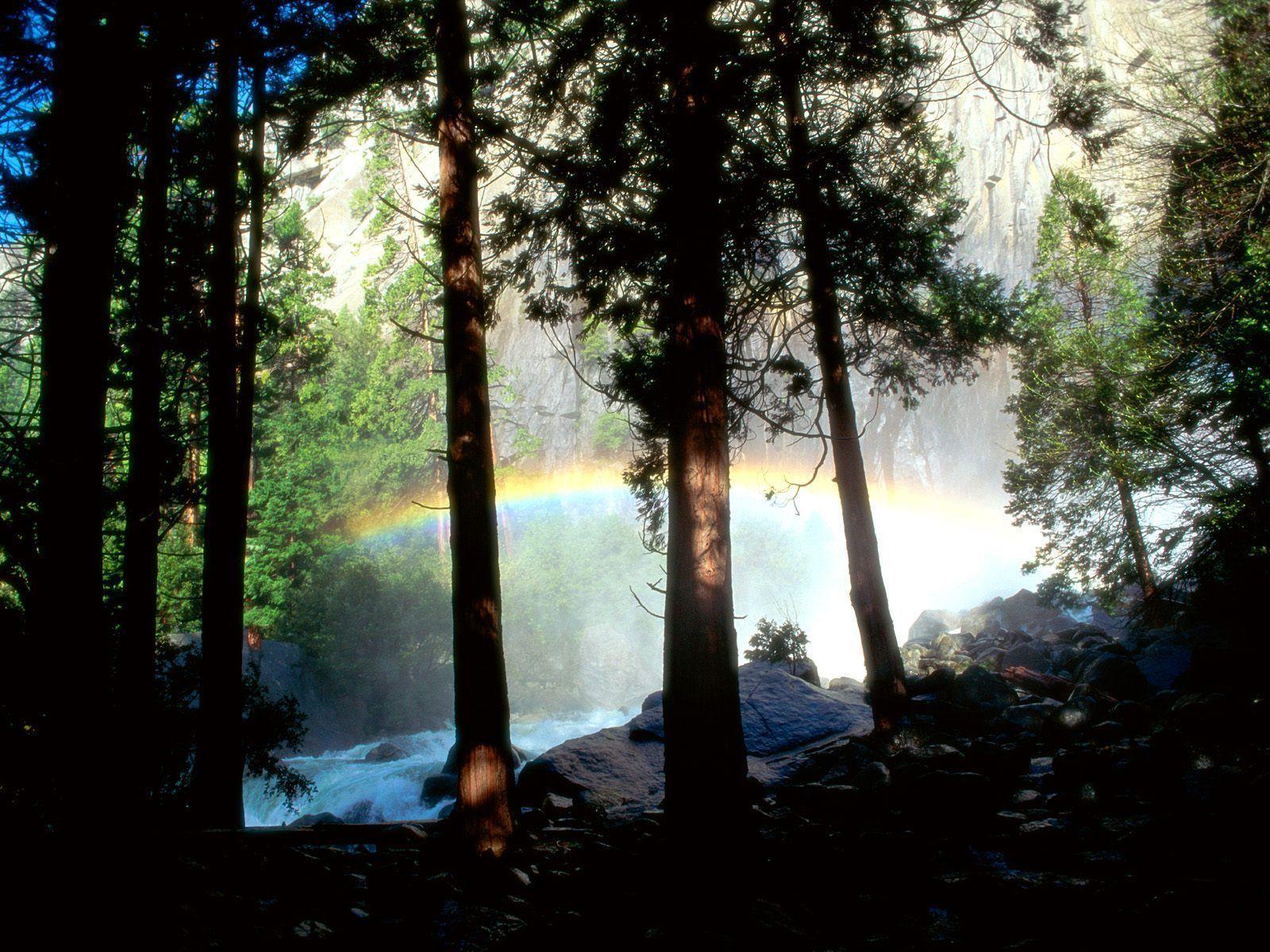 Desktop Wallpaper · Gallery · Nature · Rainbow in the woods. Free