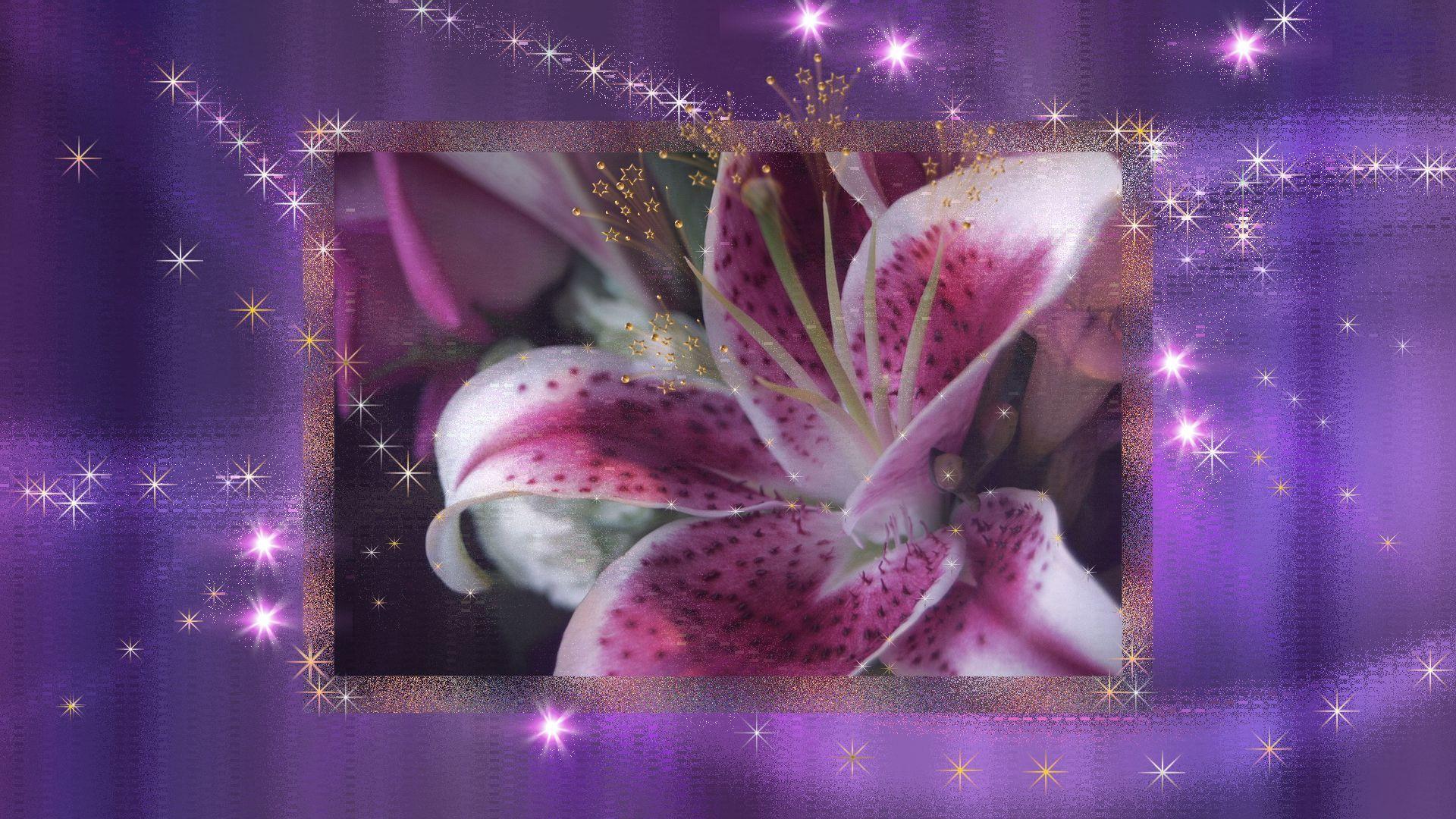 Stargazer Lily Wallpapers - Wallpaper Cave