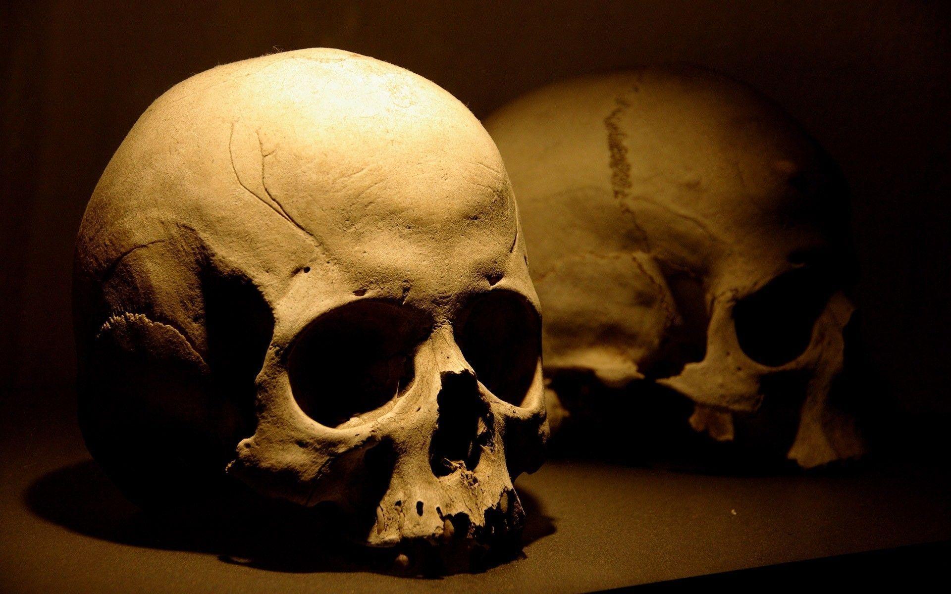 image For > Skulls And Bones Wallpaper