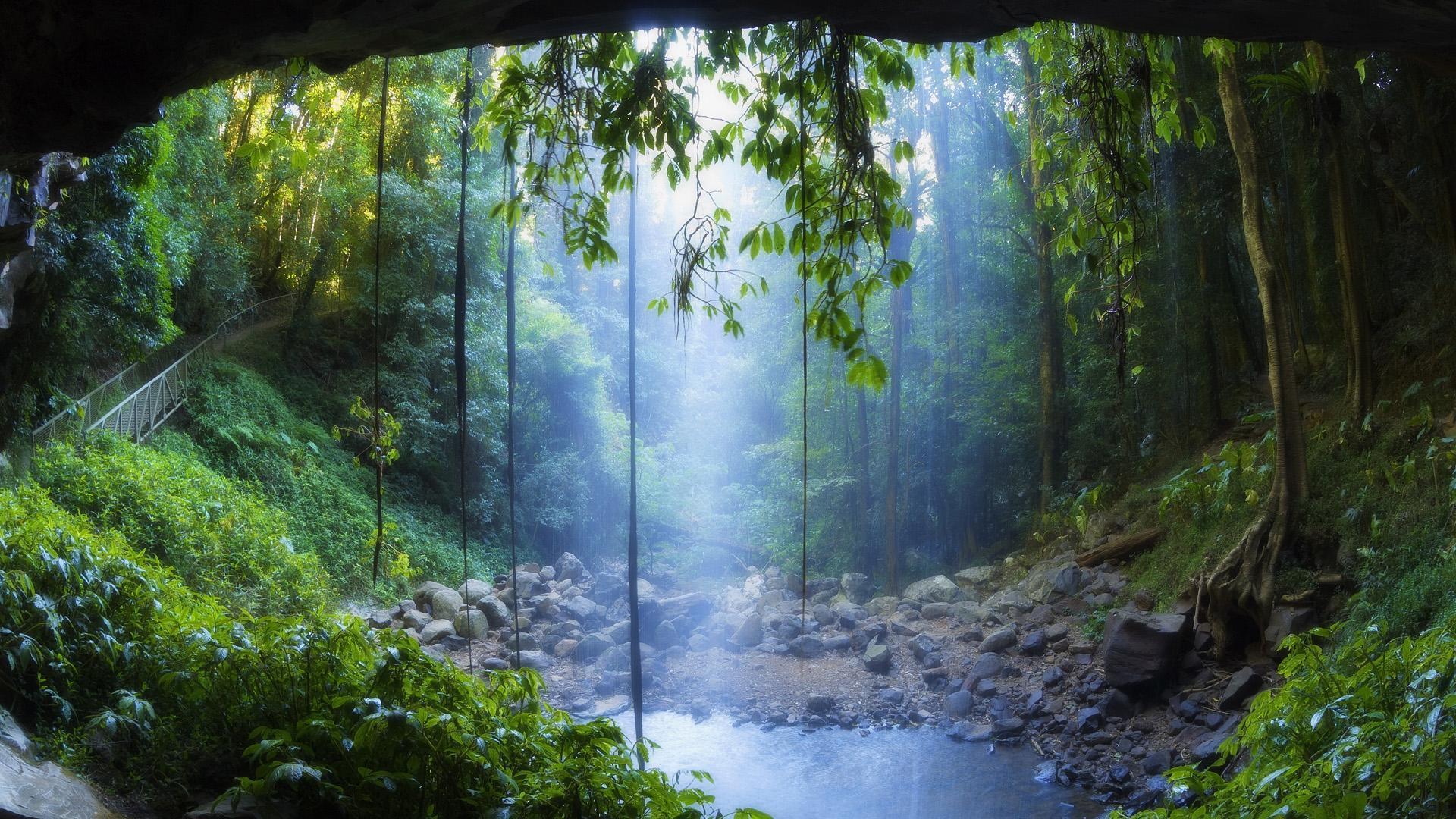 Nature Rain Forest Tropical Waterfalls Wallpaper 1024x600 px Free