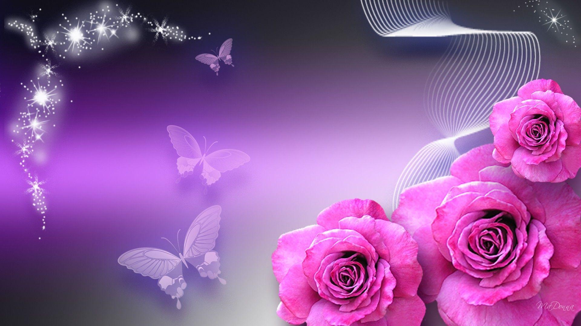 Wallpaper For > Pink And Purple Butterfly Wallpaper