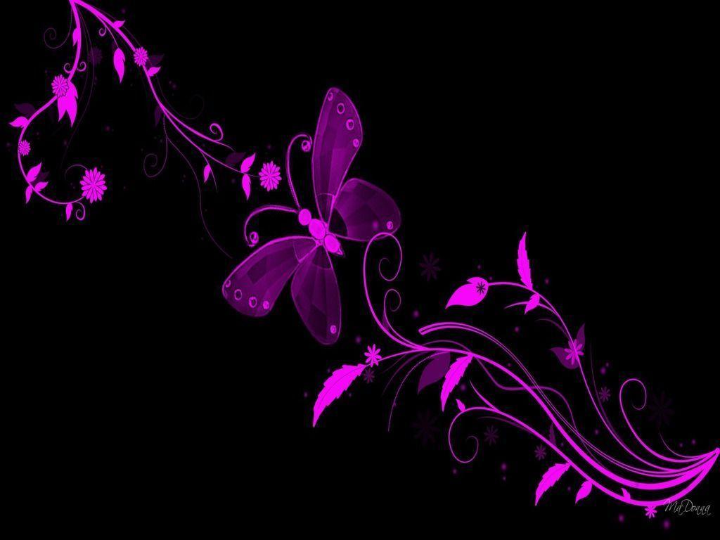 Wallpaper For > Pink And Black Butterfly Background