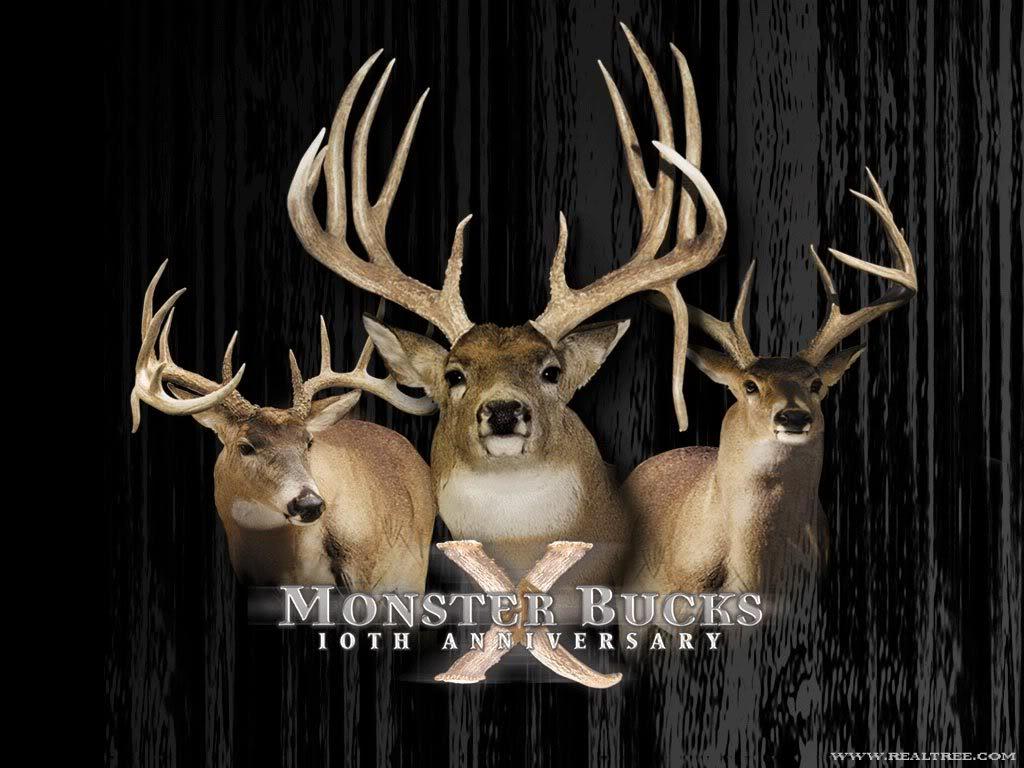 Wallpaper Desktop Big Buck Whitetail Deer Hunting 1024 X 768 42 Kb