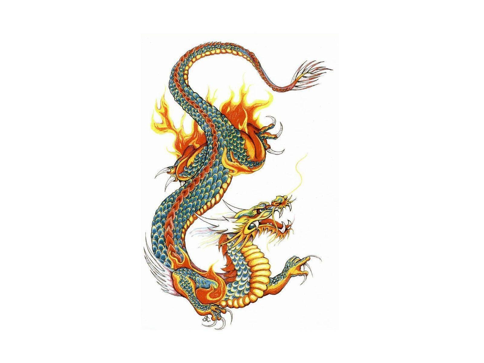 Free designs colored dragon tattoo wallpaper
