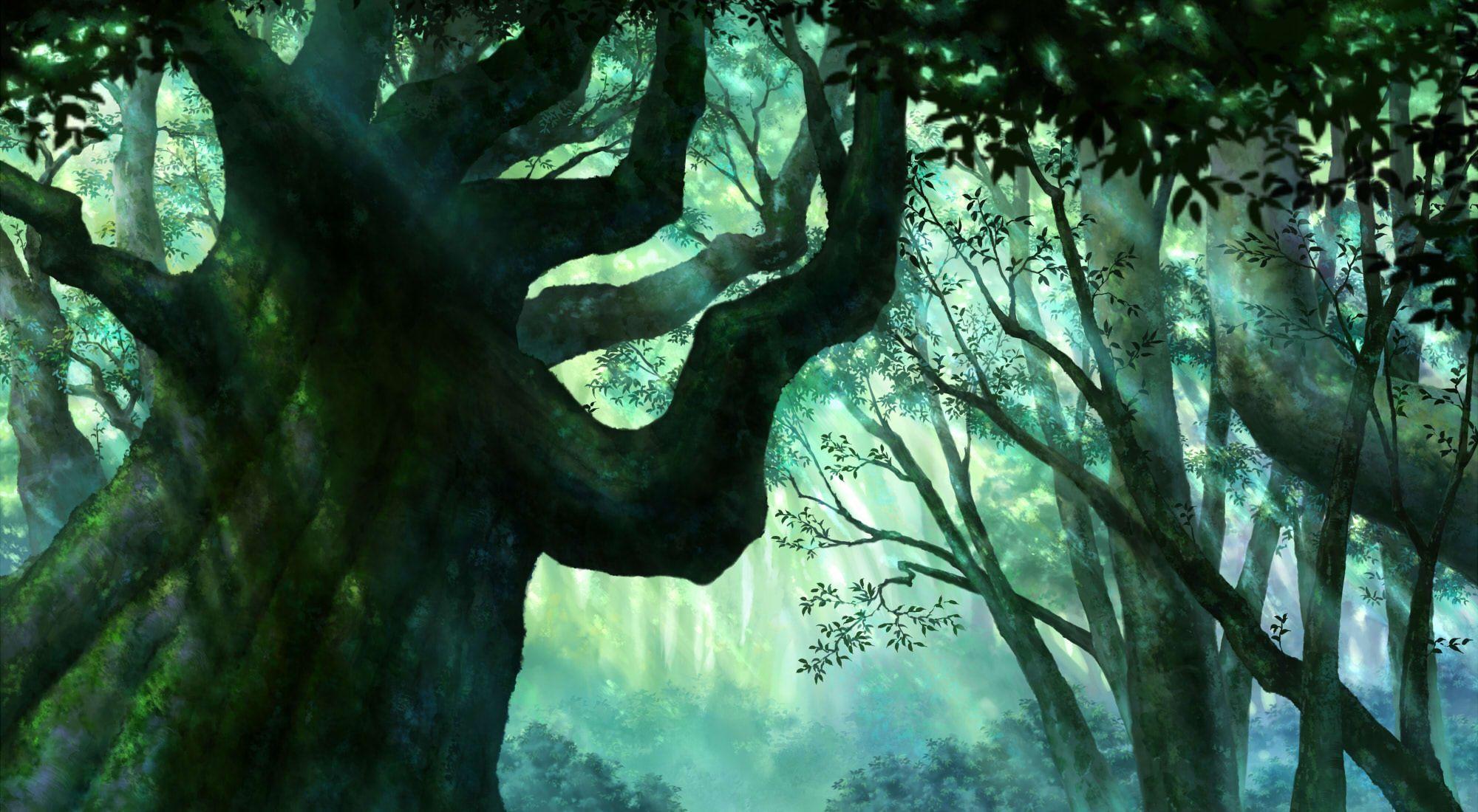 image For > Anime Background Forest