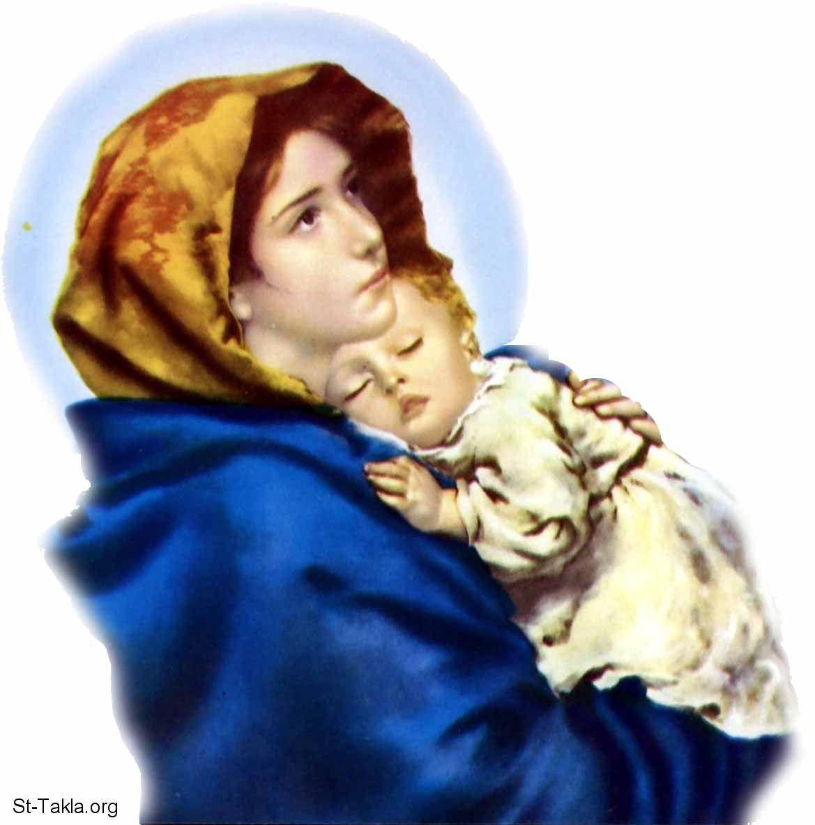 Pix For > Saint Mary Mother Of God Wallpaper