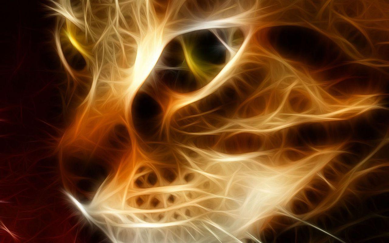 Animals: Cool Beautiful Fire Cat Wallpaper