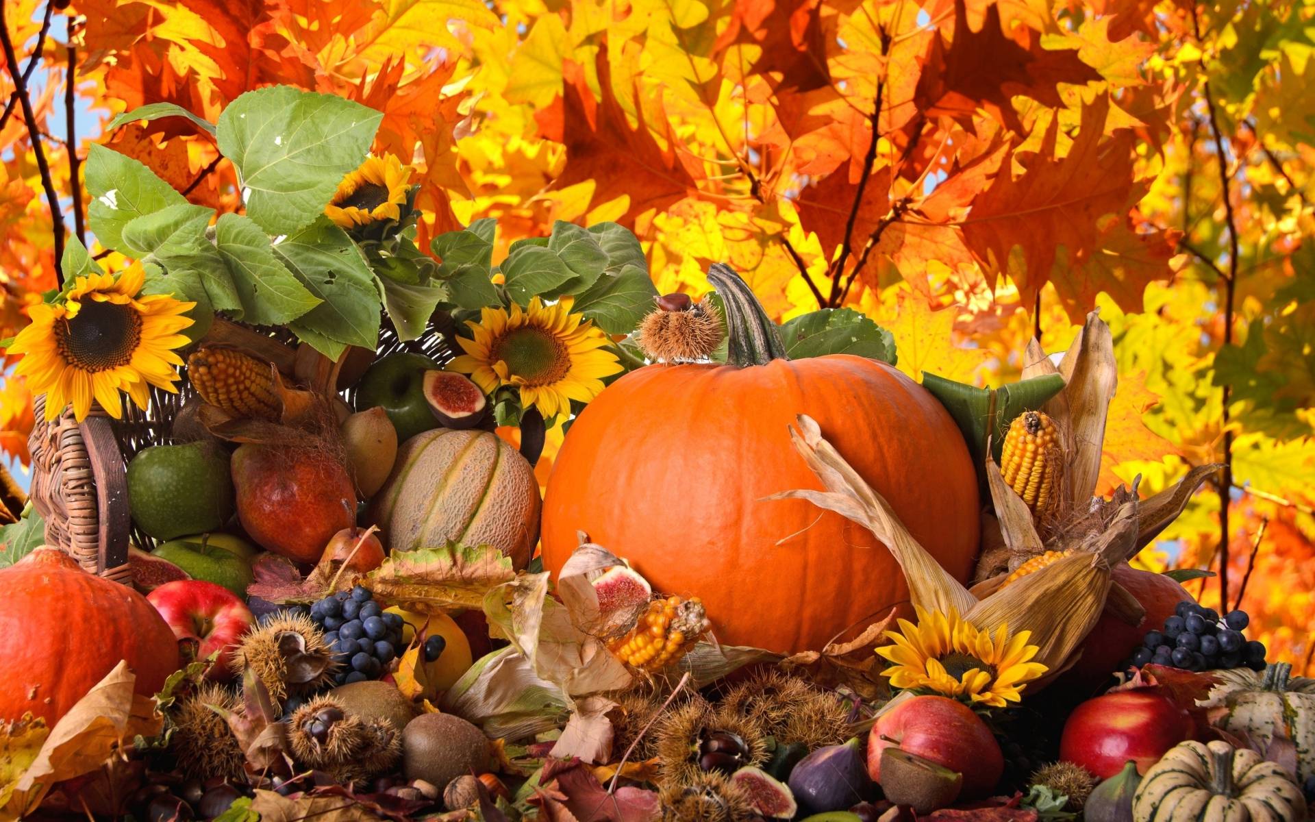 Fall Thanksgiving Wallpaper With Cats Dogs