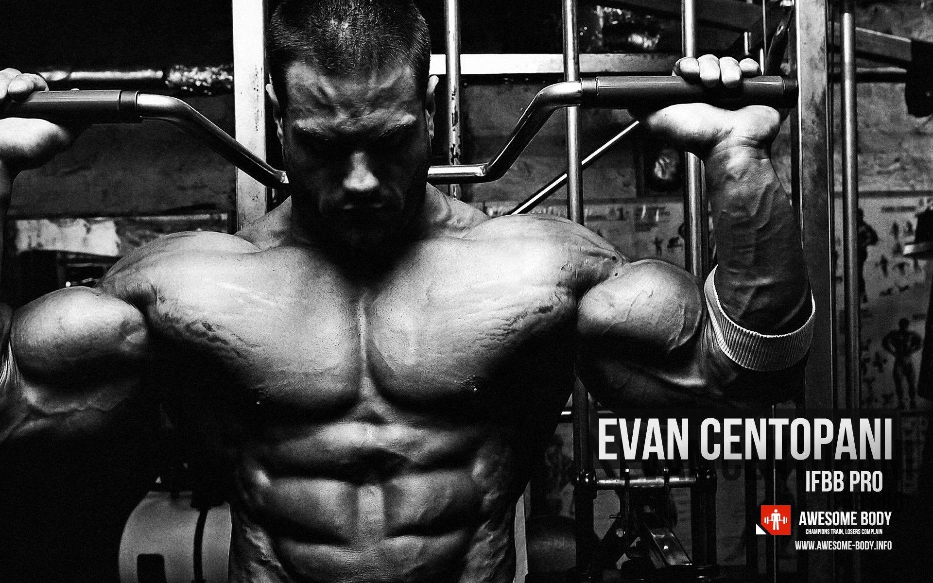 Evan Centopani Wallpaper. Superheavyweight Class. American