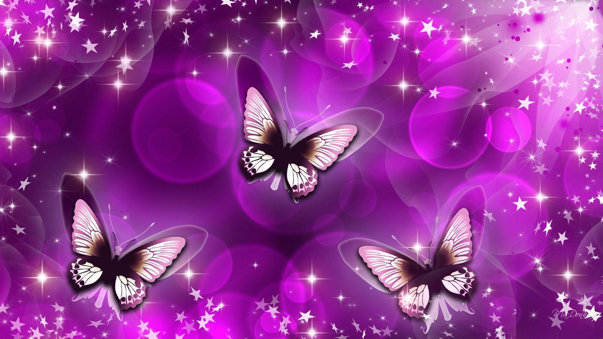 Wallpaper For > Pink And Purple Butterfly Background