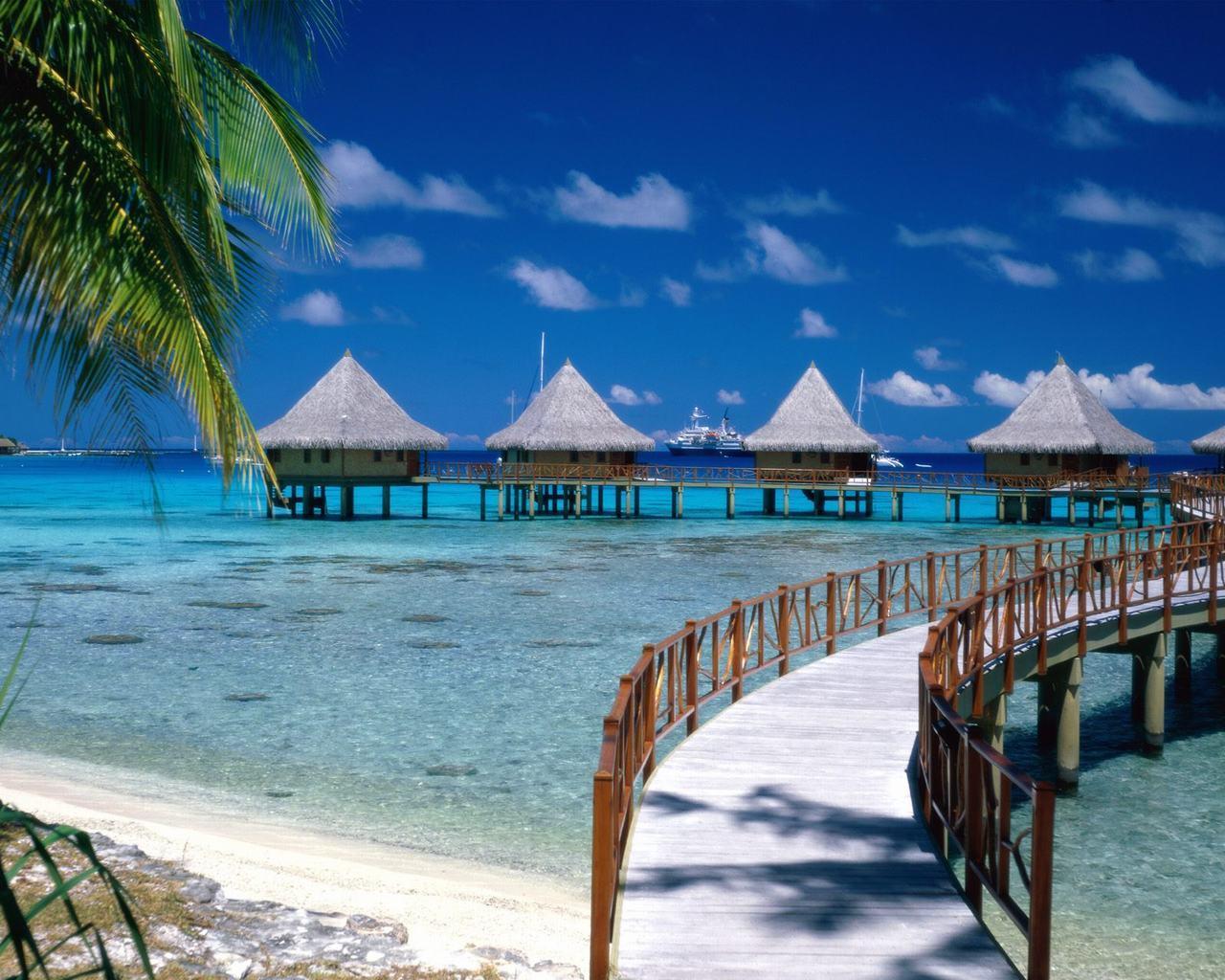 Download tropical beach HD background desktop background