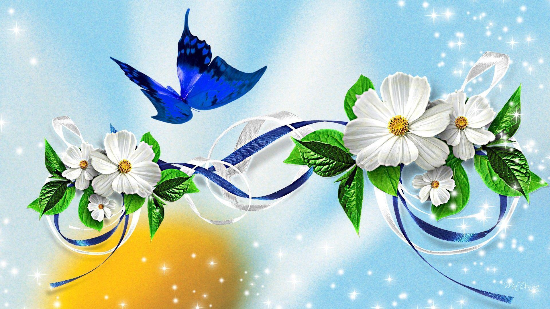 Butterfly and white blossoms Wallpaper
